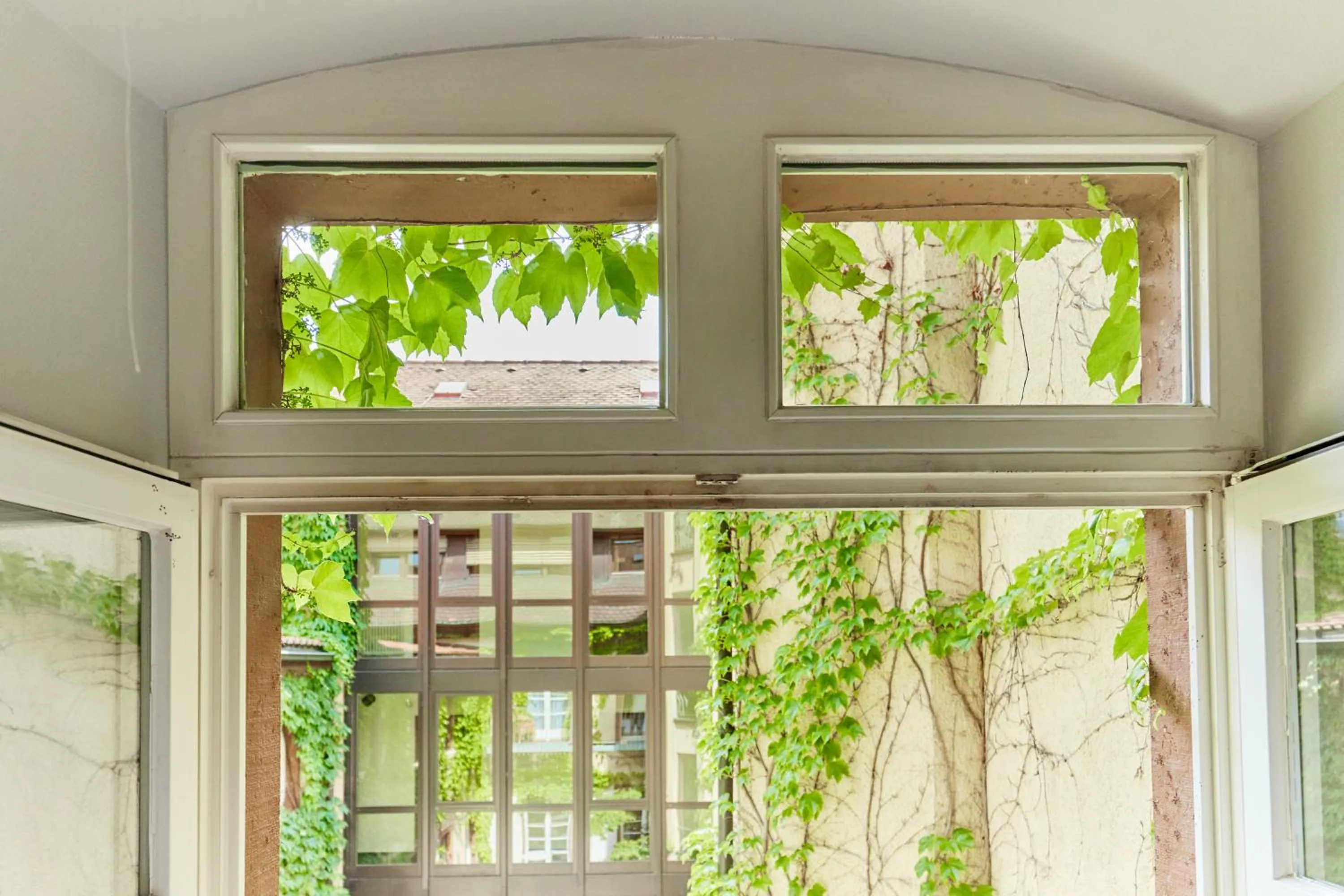 Garden view in Zum Roten Bären