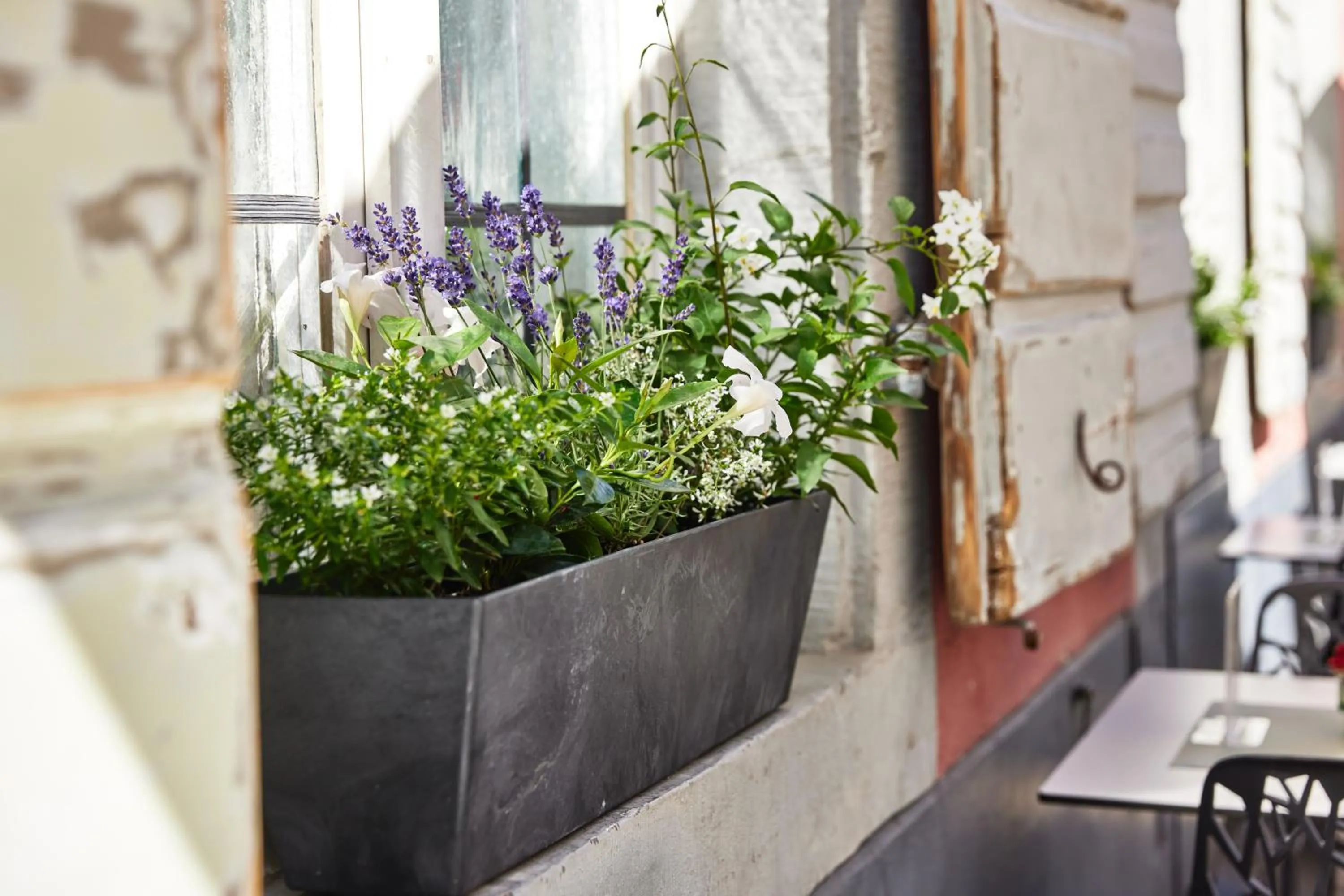 Property building in Zum Roten Bären