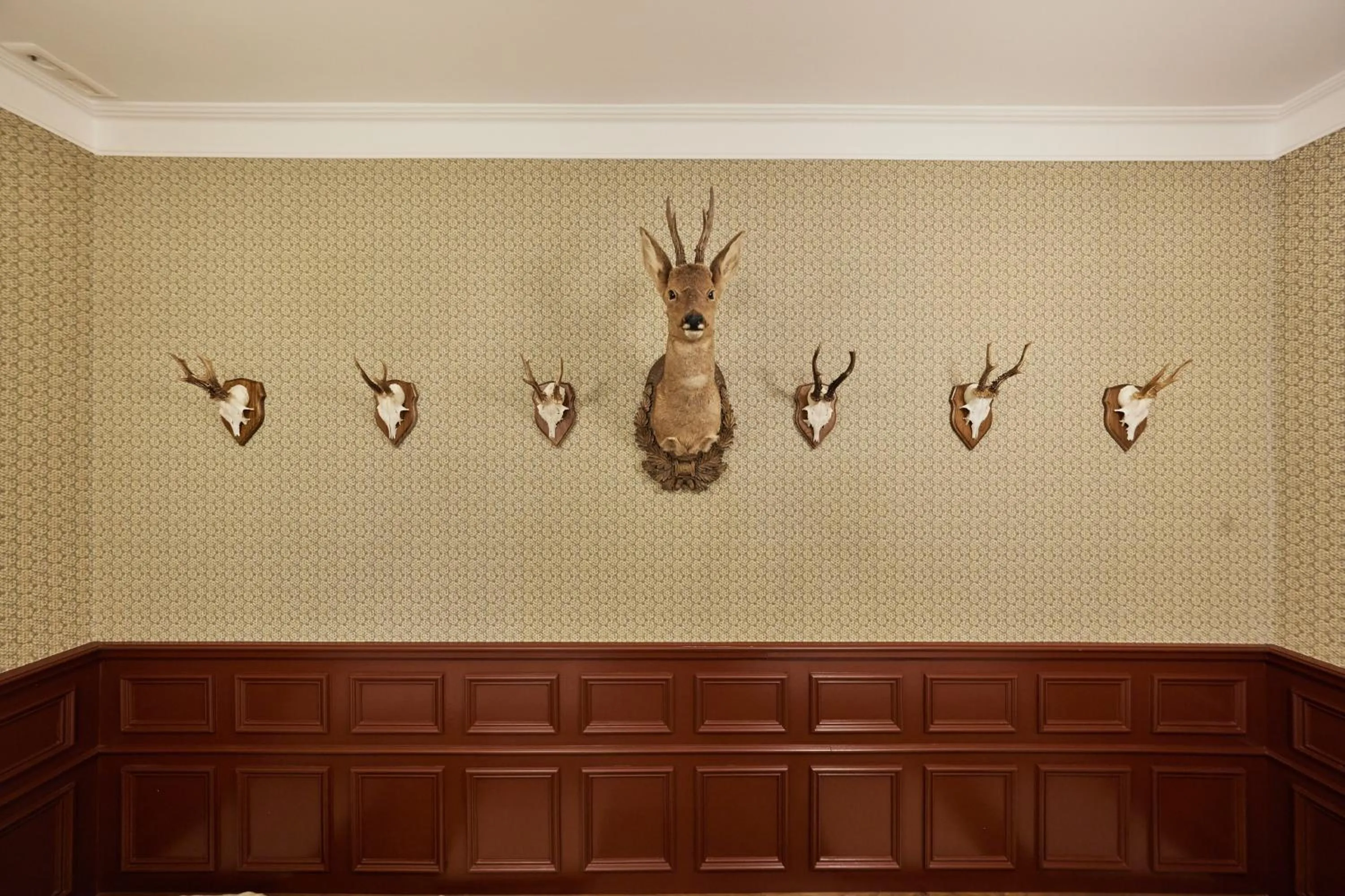 Restaurant/places to eat in Zum Roten Bären