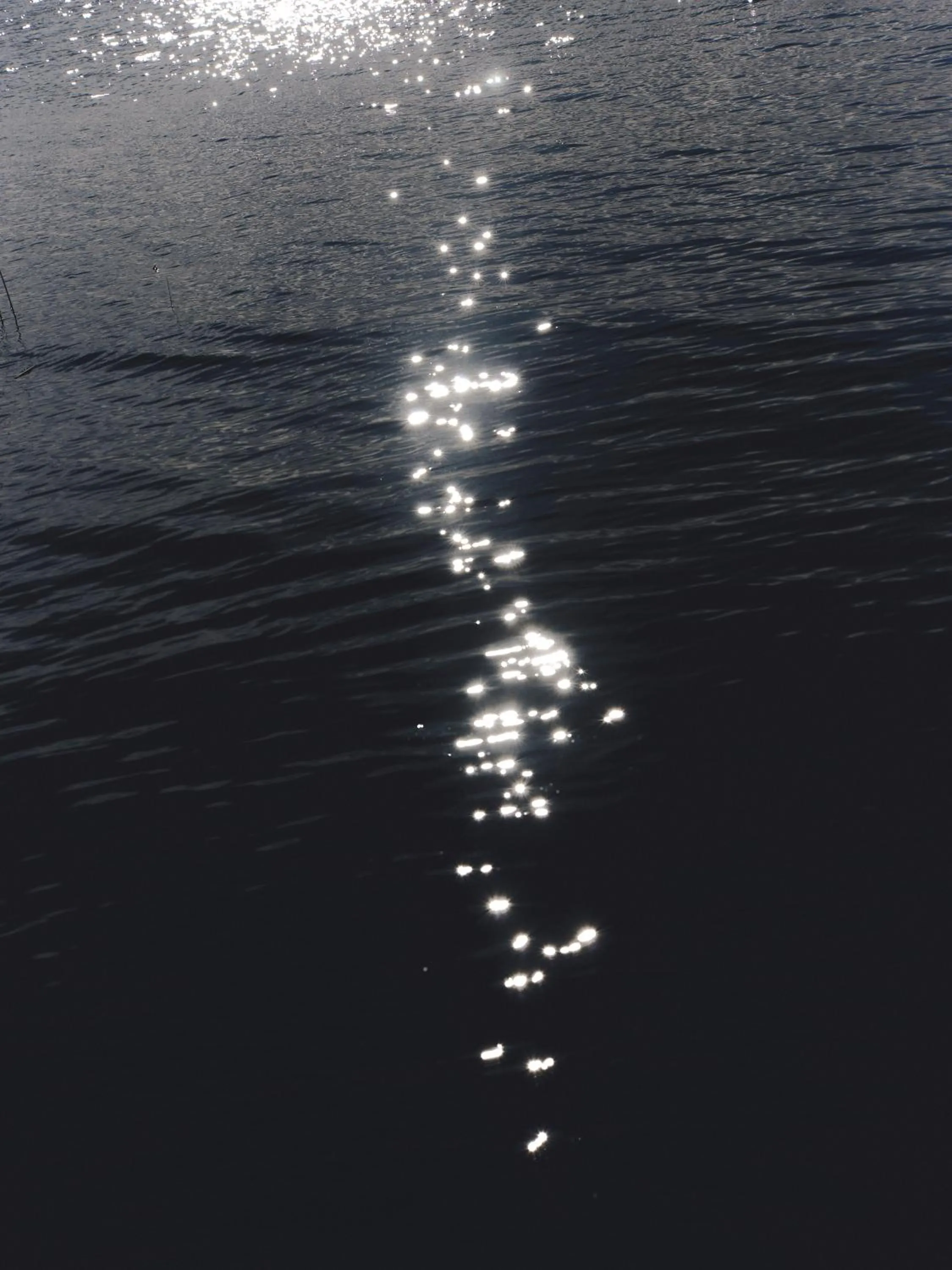 Natural landscape in Titilaka by Andean