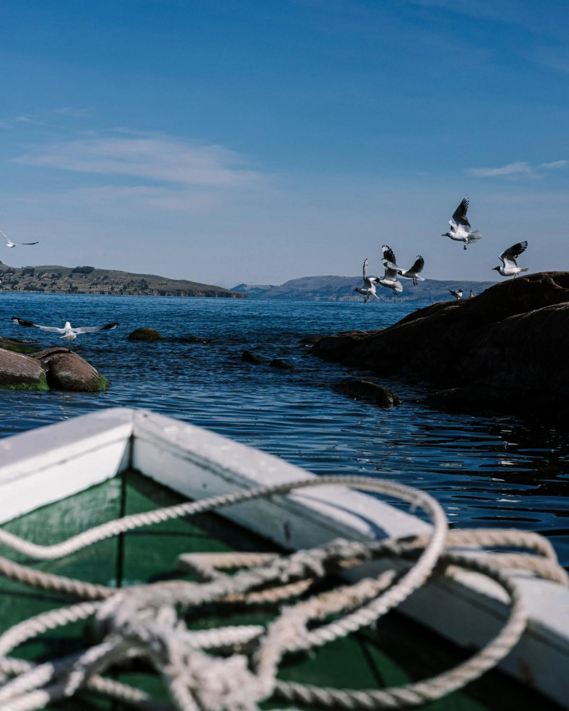 Day in Titilaka by Andean