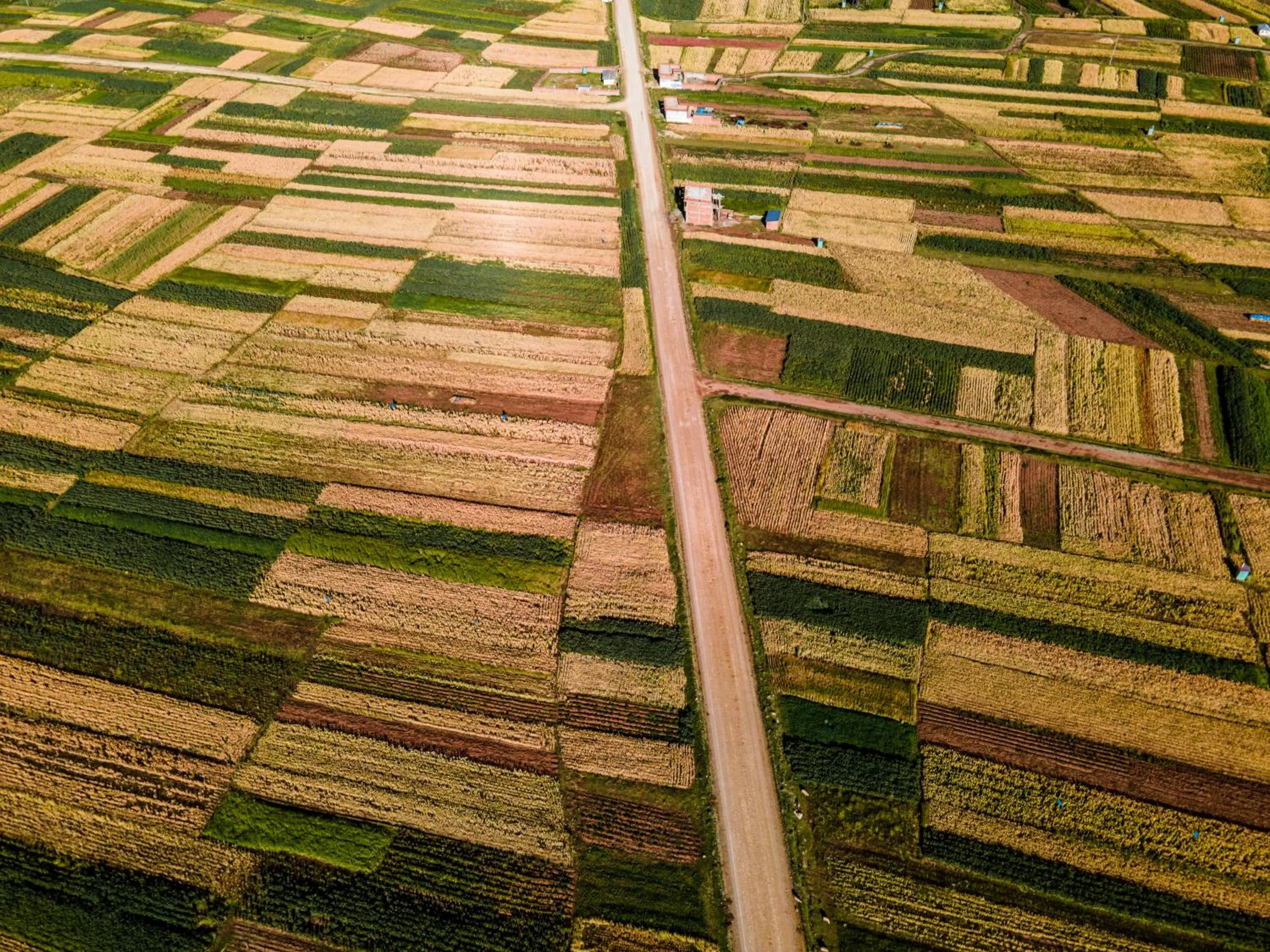 Neighbourhood in Titilaka by Andean