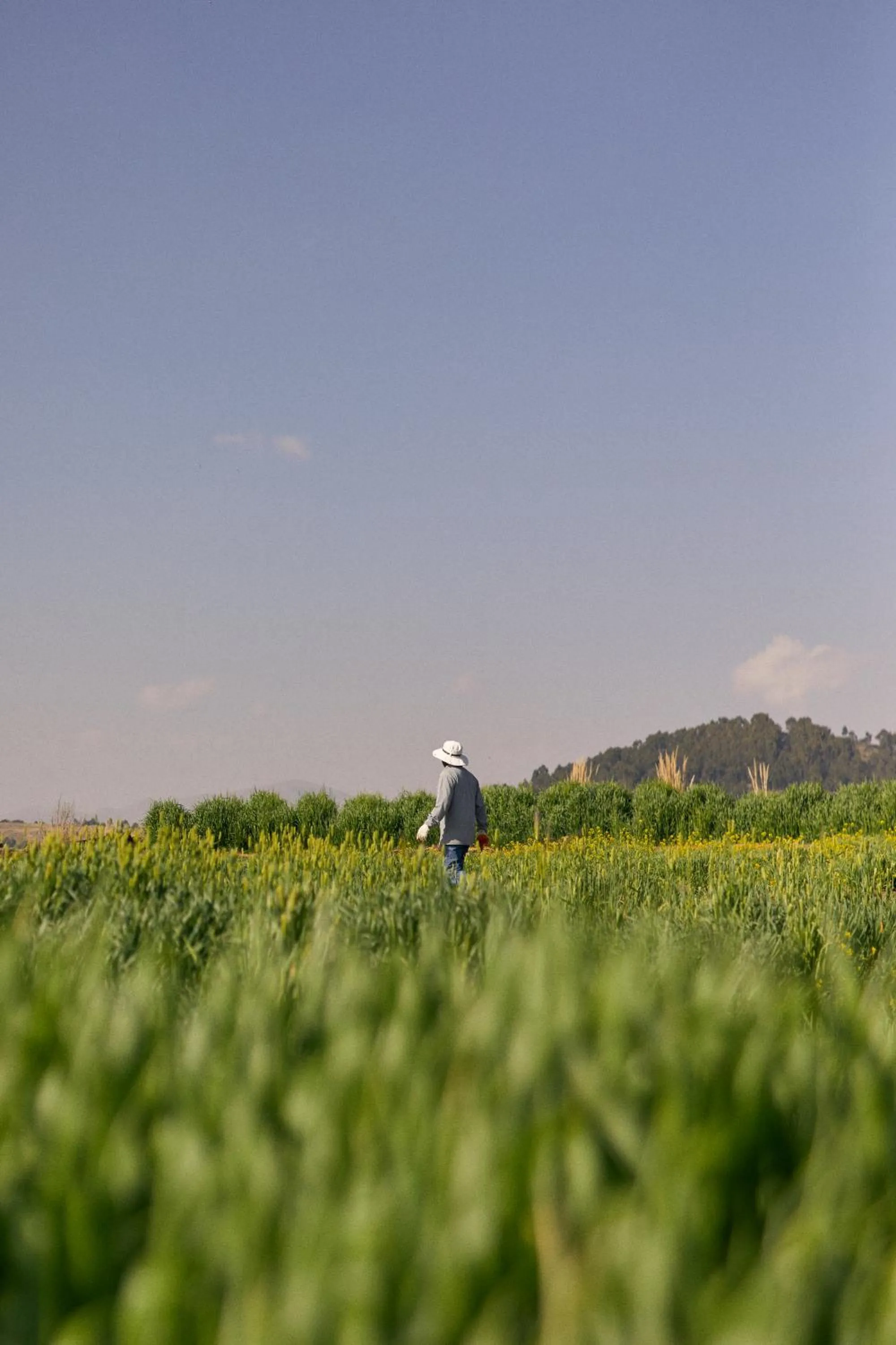 Activities in Titilaka by Andean