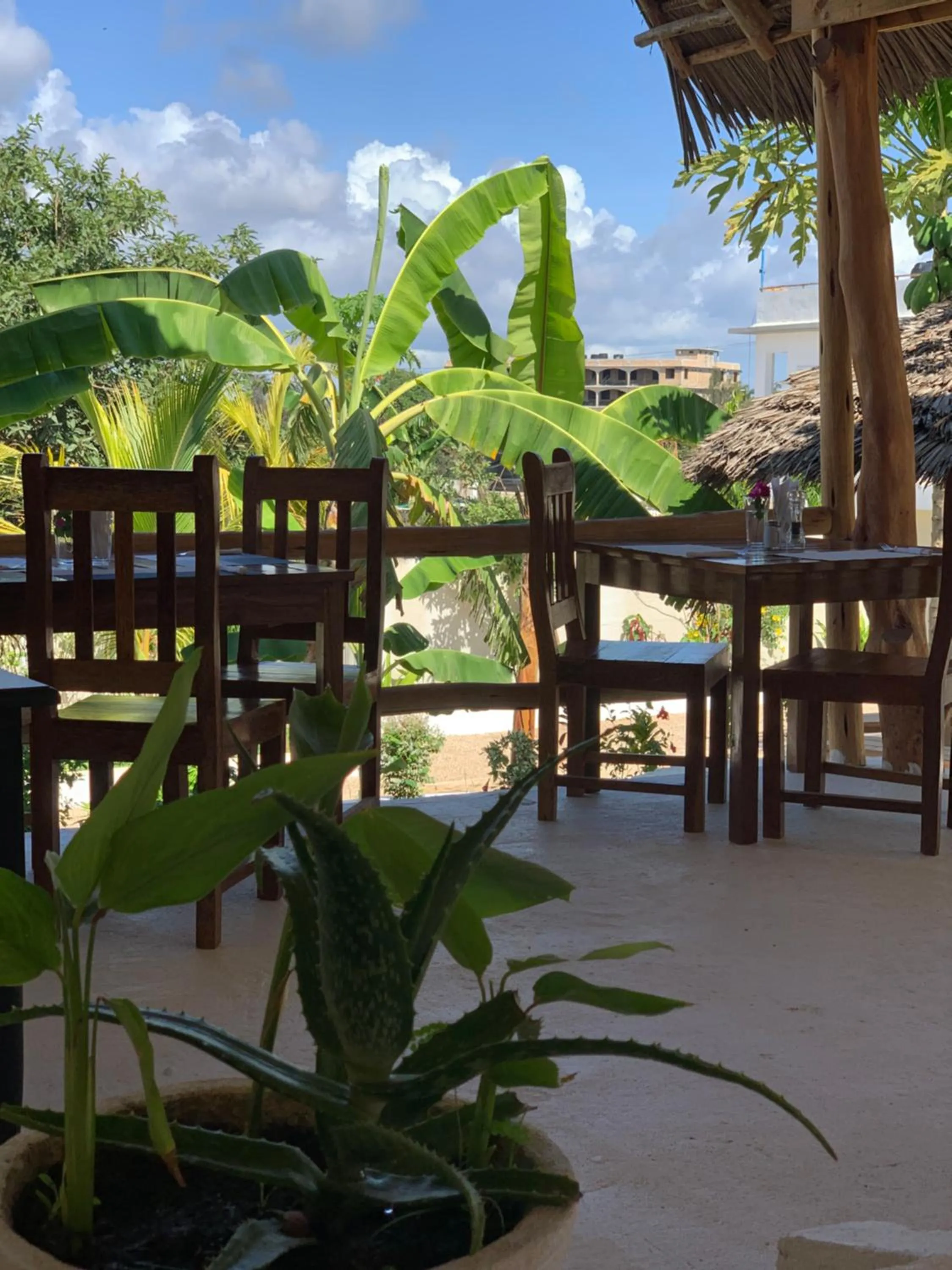 Restaurant/places to eat in Zanzibar Tropical Sunset Boutique Hotel - Adults Only