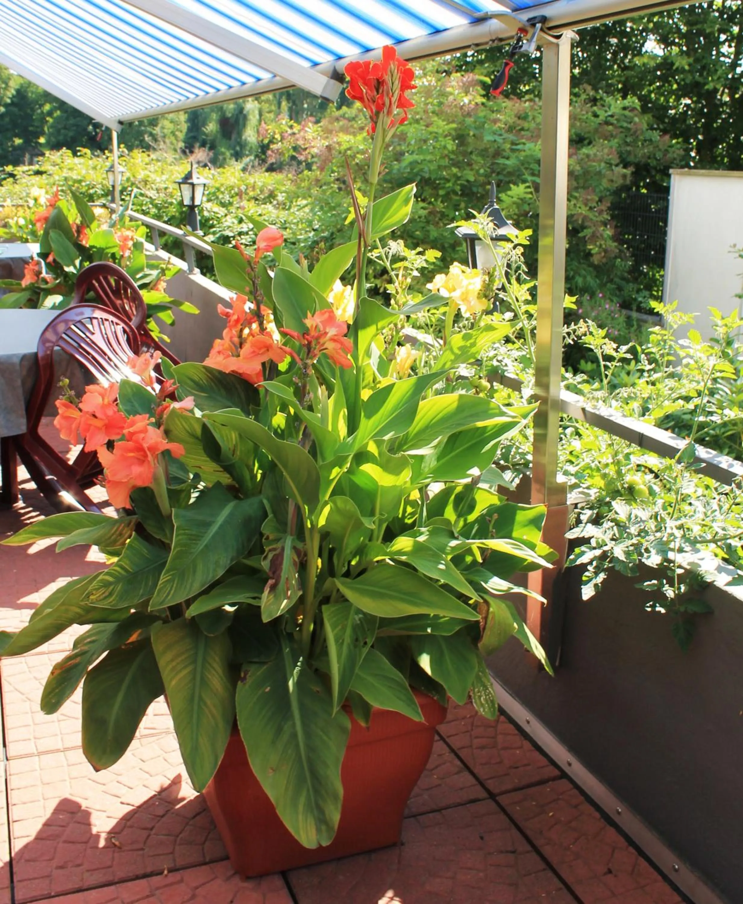 Balcony/Terrace in Hotel Wakenitzblick
