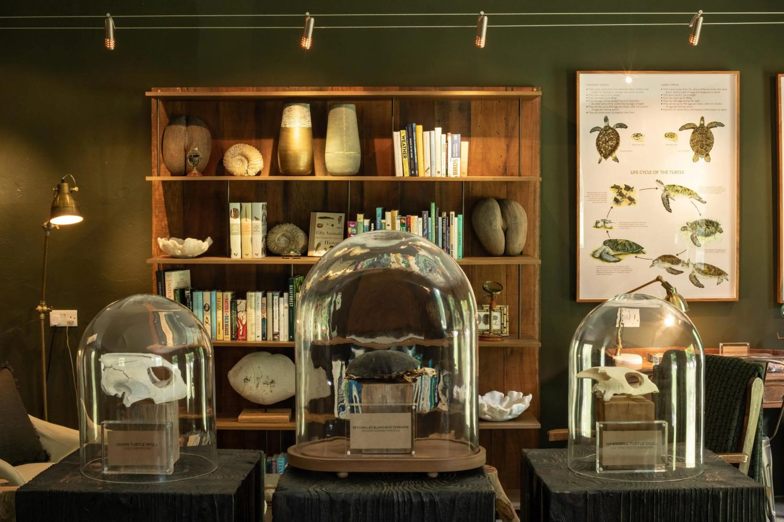 Other in North Island, a Luxury Collection Resort, Seychelles