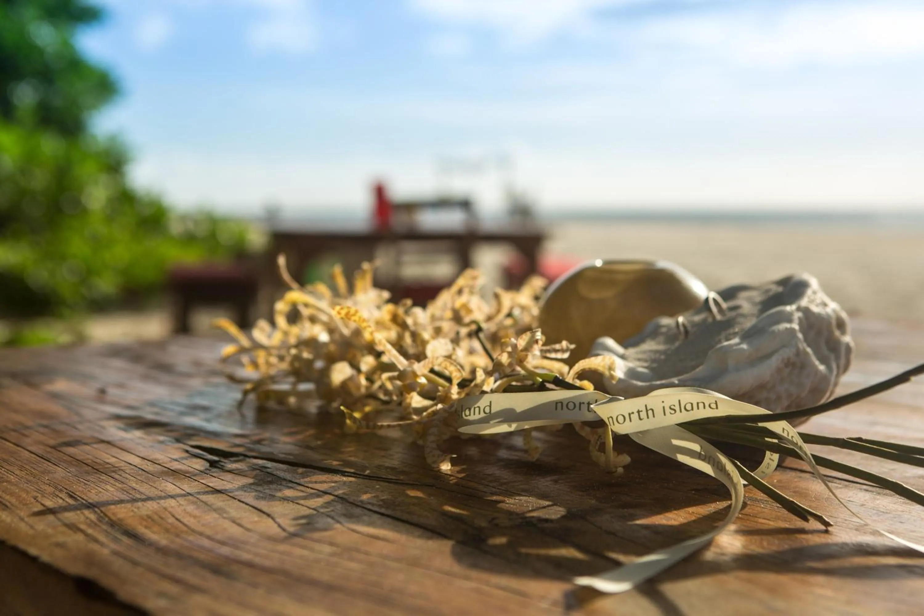 Banquet/Function facilities in North Island, a Luxury Collection Resort, Seychelles