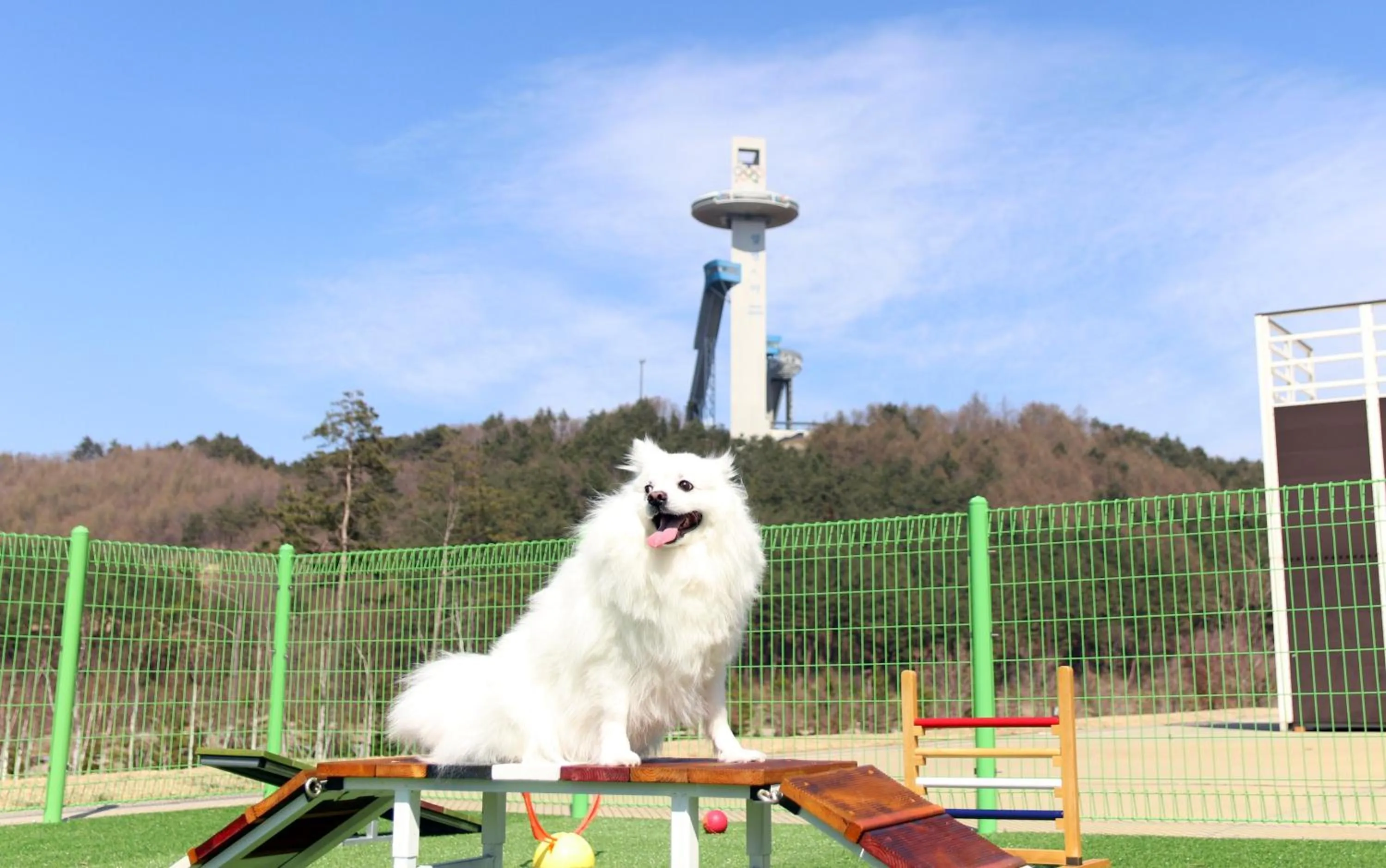 Fitness centre/facilities in Holiday Inn & Suites Alpensia Pyeongchang Suites by IHG