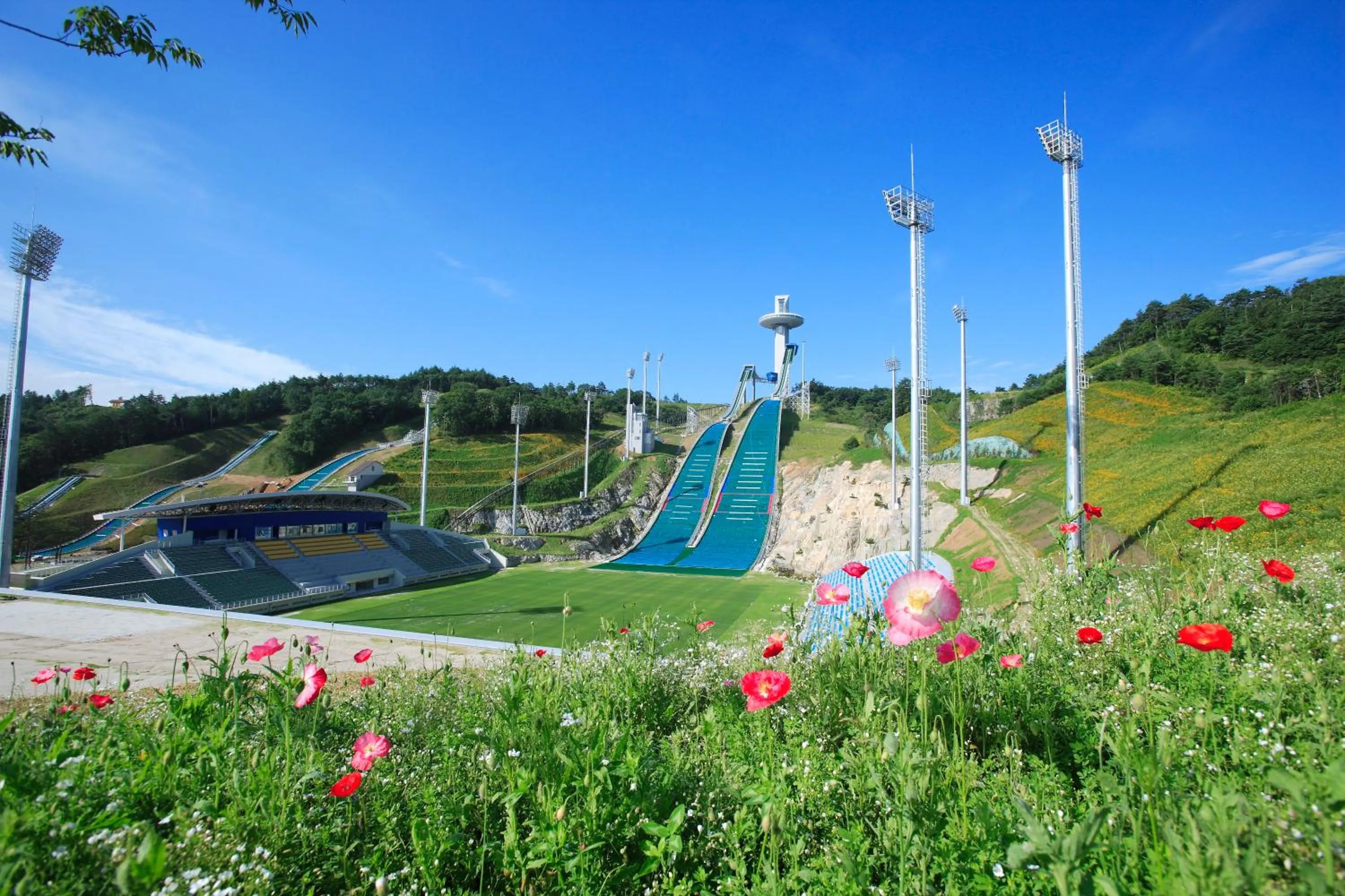 Nearby landmark in Holiday Inn & Suites Alpensia Pyeongchang Suites by IHG