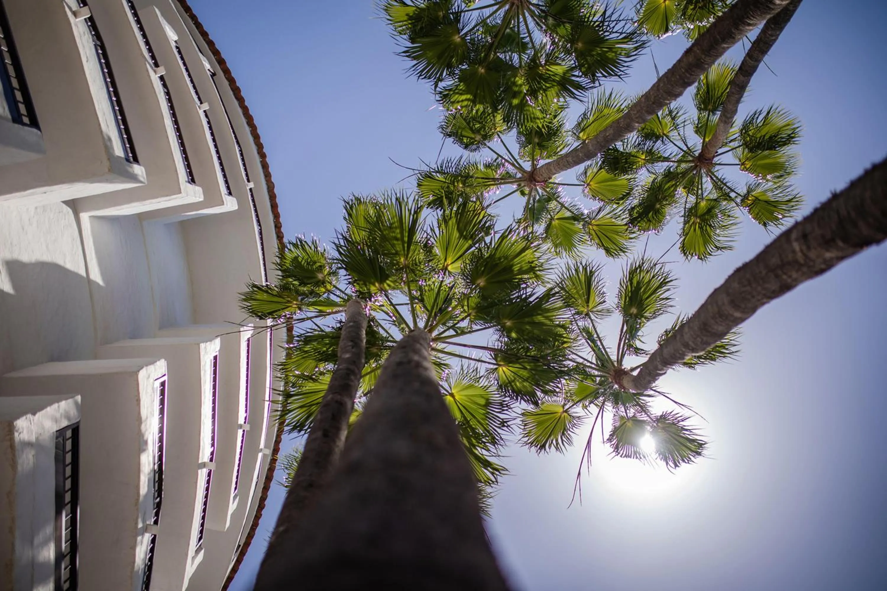 Natural landscape in Servatur Waikiki