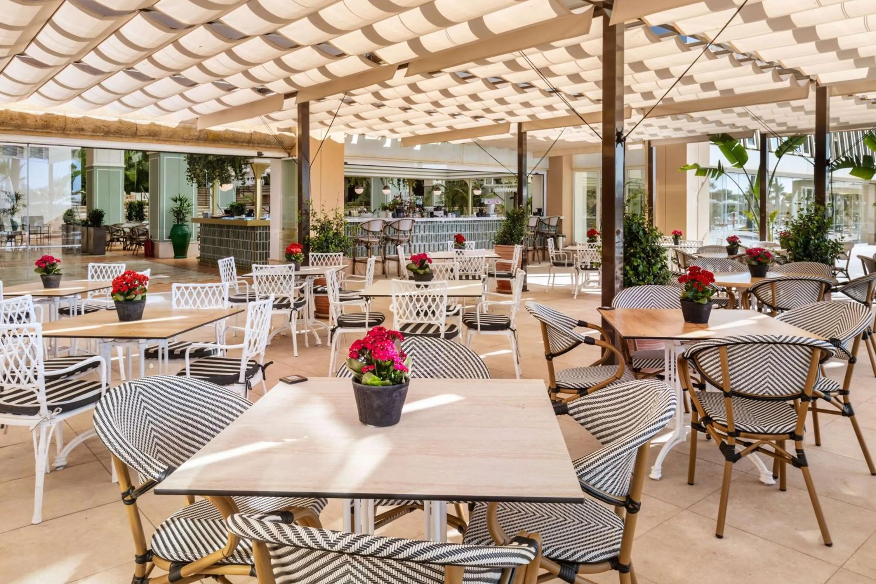 Restaurant/places to eat in Meliá Isla Canela