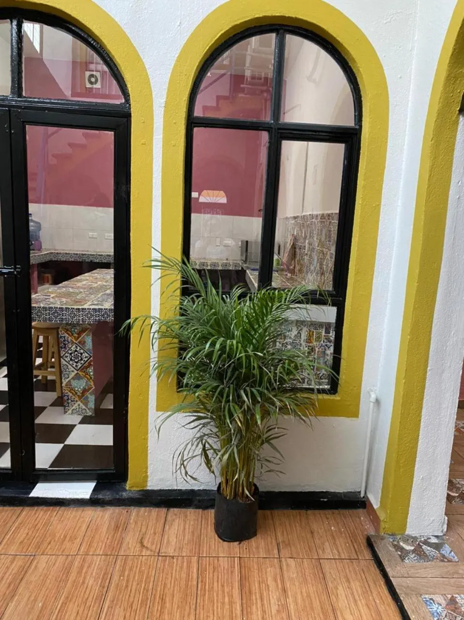 Balcony/Terrace in My Family In Monterrey - Hostel