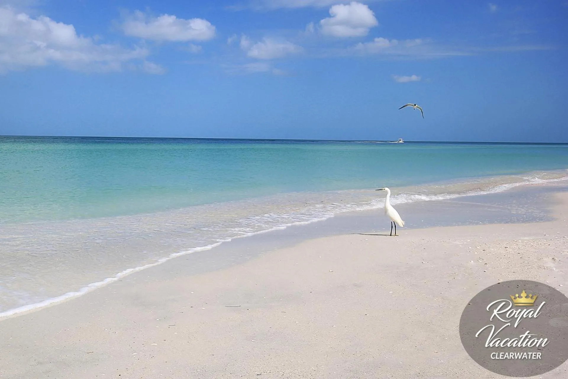Beach in Royal Tropical at Avalon Clearwater - Pool & Free Parking - 10 Min Drive to Clearwater Beach