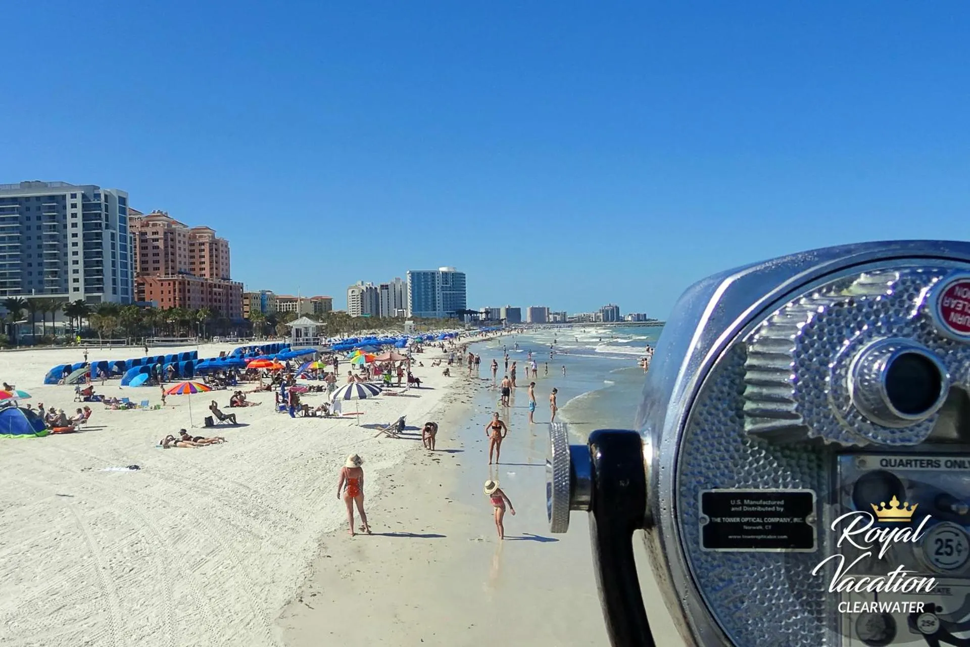 Neighbourhood in Royal Tropical at Avalon Clearwater - Pool & Free Parking - 10 Min Drive to Clearwater Beach