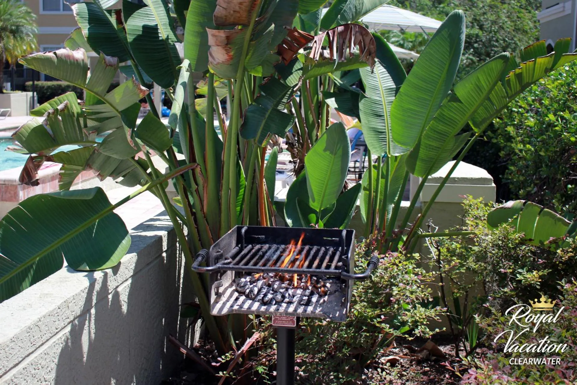 BBQ facilities in Royal Tropical at Avalon Clearwater - Pool & Free Parking - 10 Min Drive to Clearwater Beach