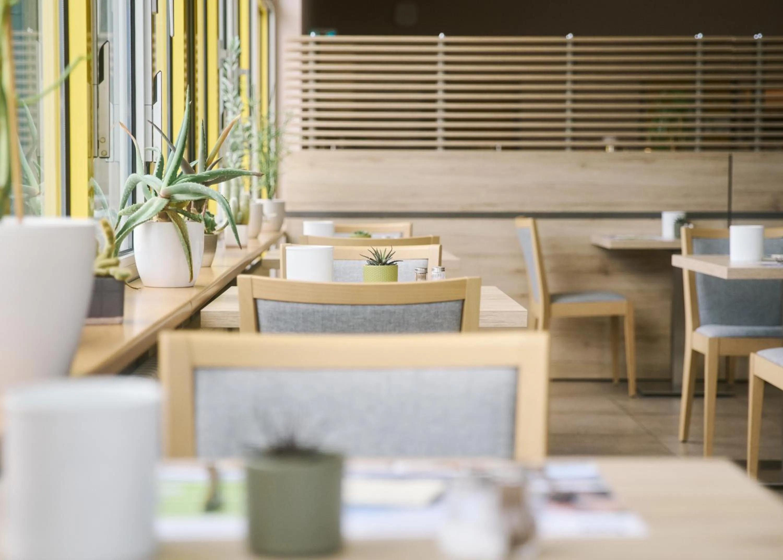 Restaurant/places to eat in Akademiehotel Jena