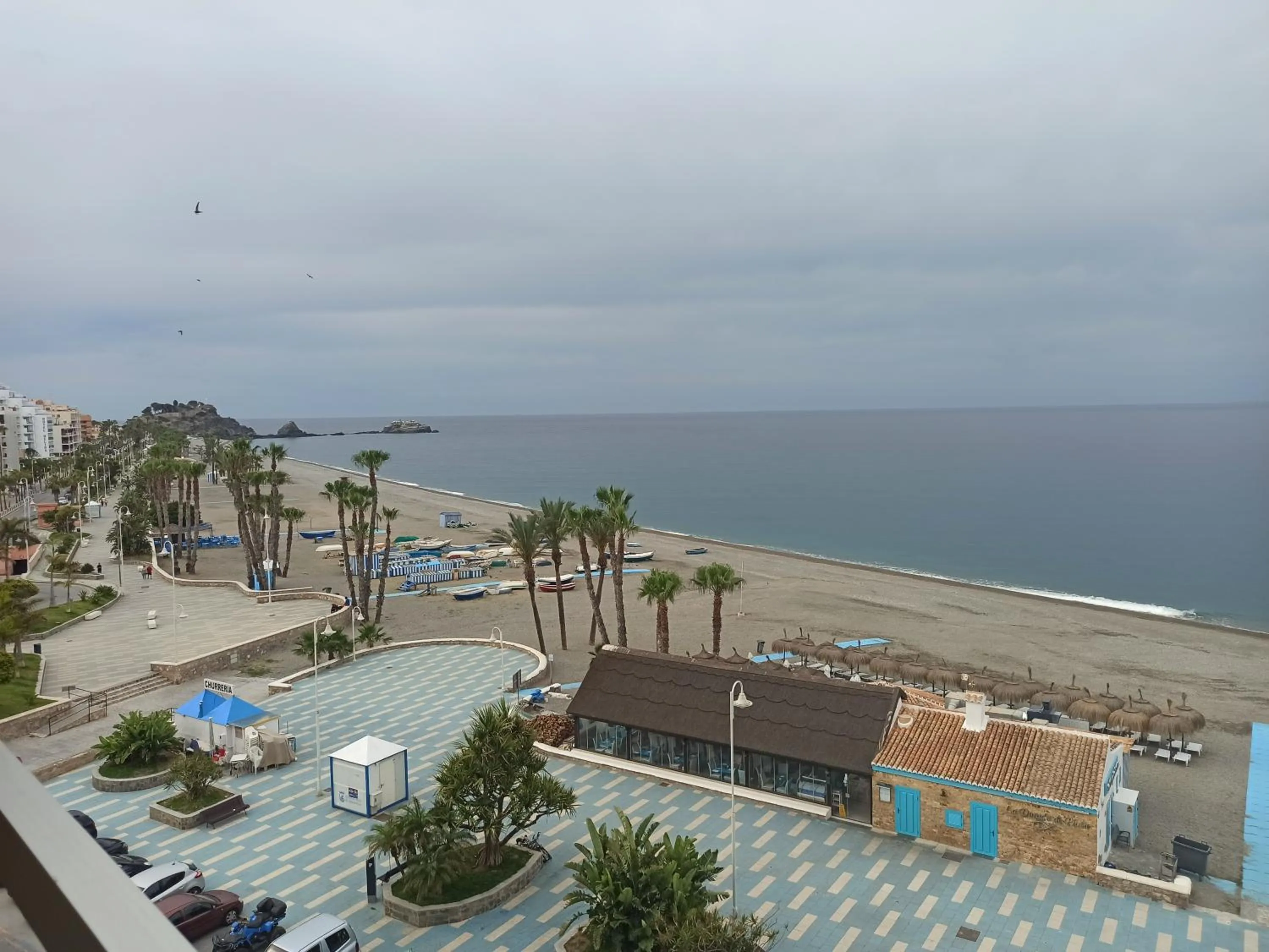 Apal Chinasol Estudios