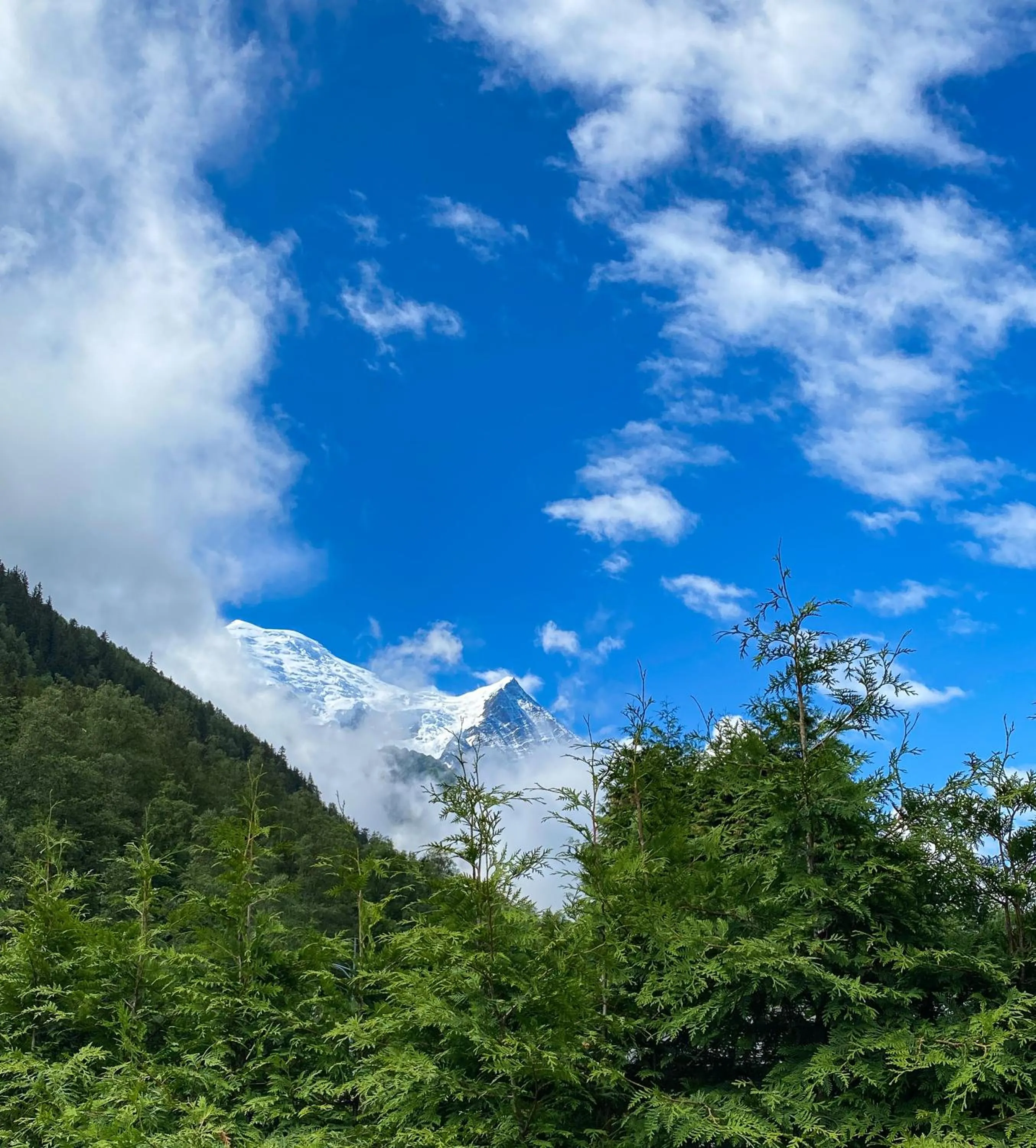 View (from property/room) in Appart'hôtel Bellamy Chamonix