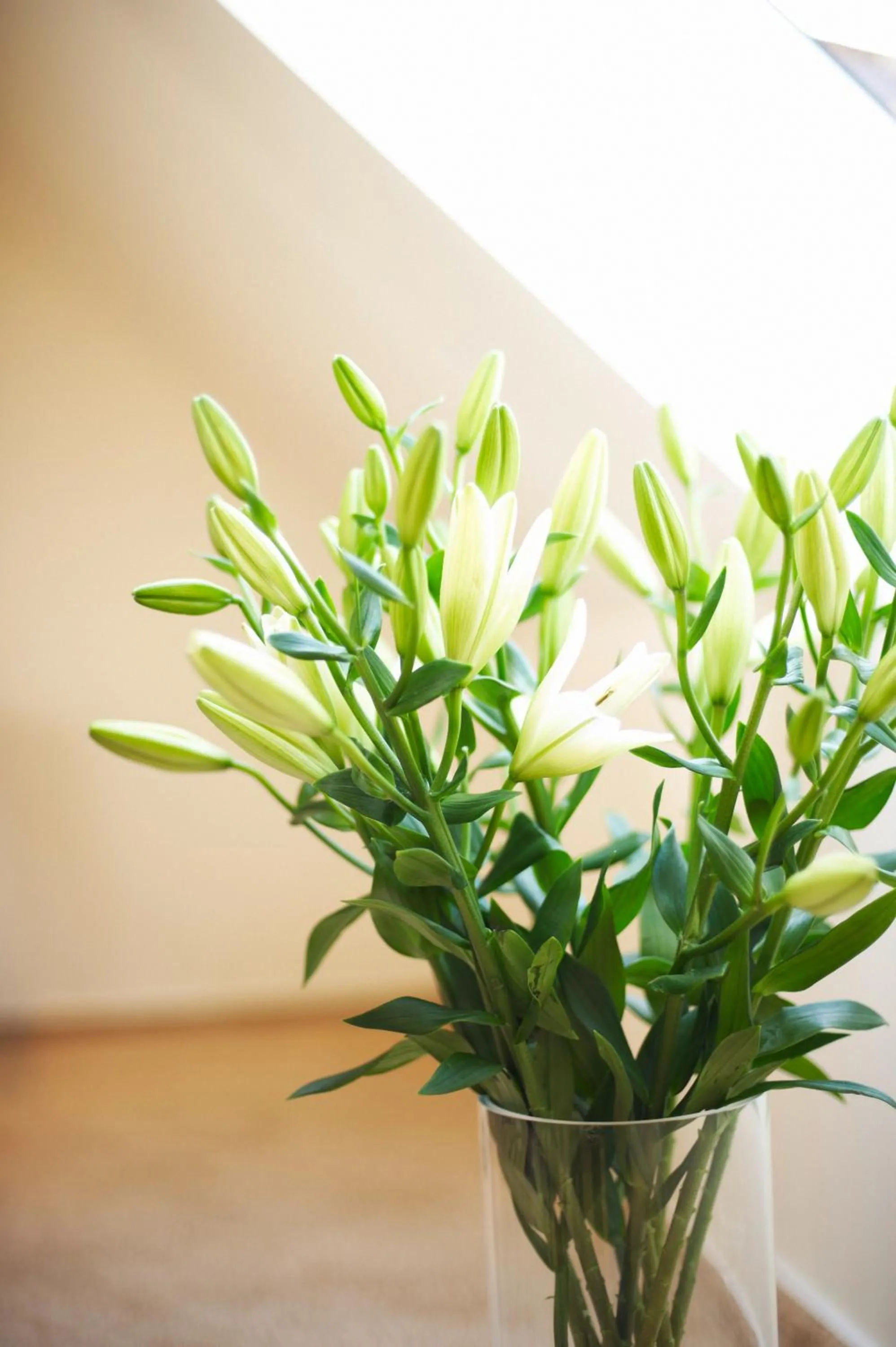 Decorative detail in Hotel Am Helmwartsturm