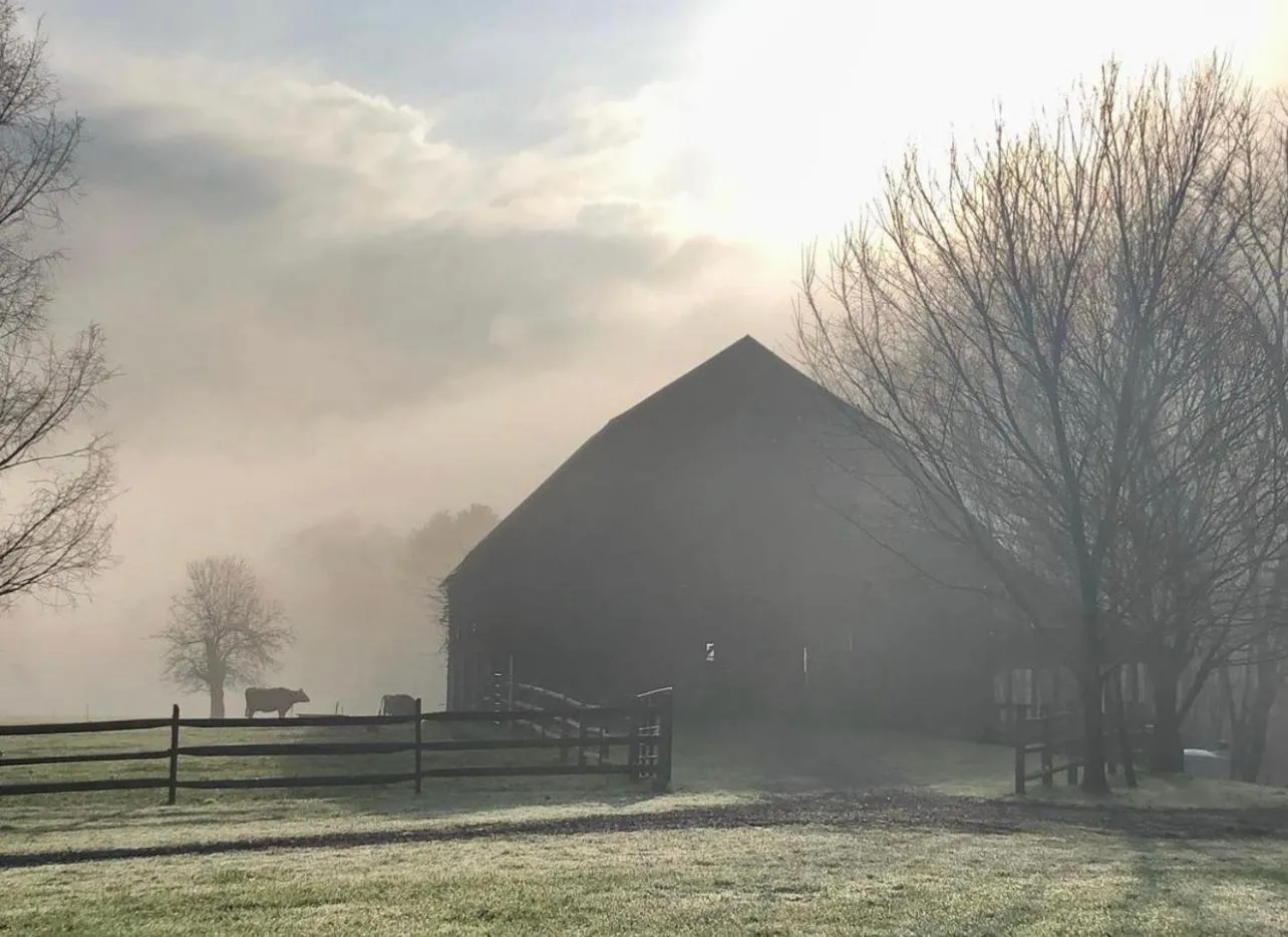 Laurel River Club Bed & Breakfast or LRCBNB