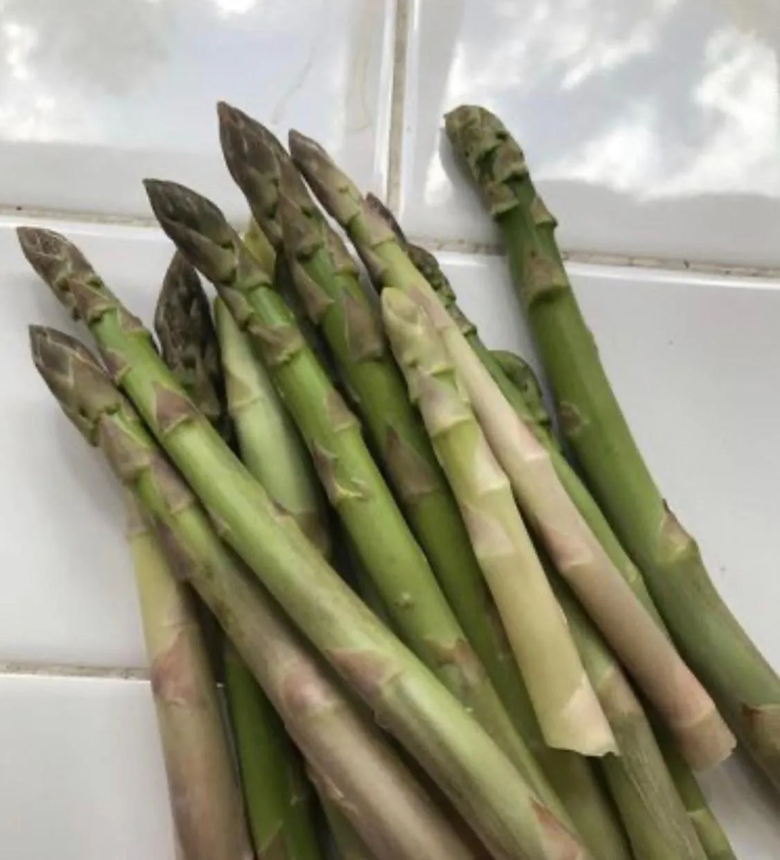 Laurel River Club Bed & Breakfast or LRCBNB