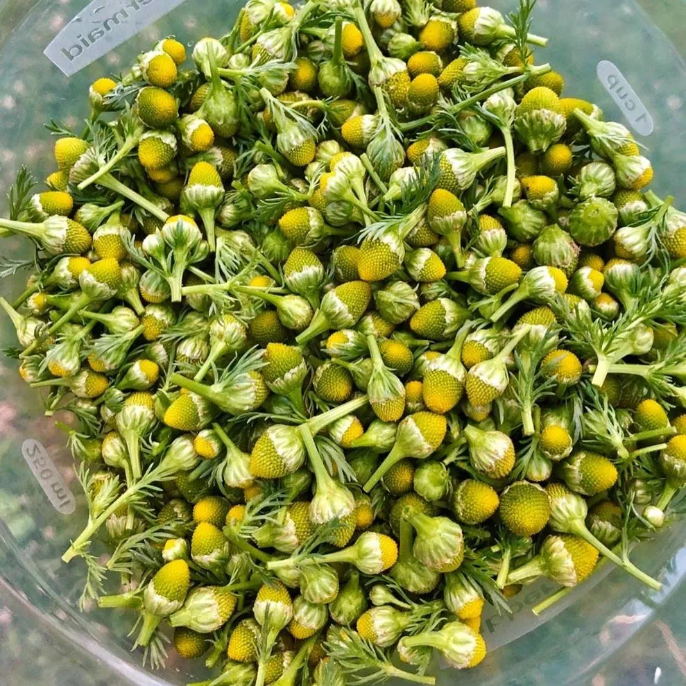 Laurel River Club Bed & Breakfast or LRCBNB