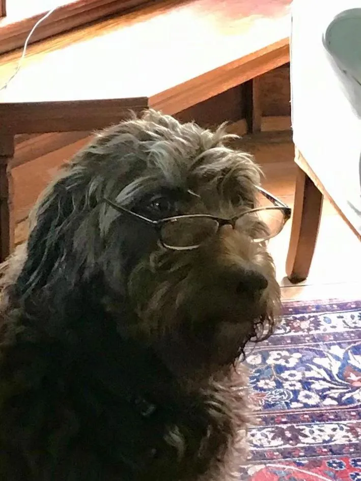 Laurel River Club Bed & Breakfast or LRCBNB