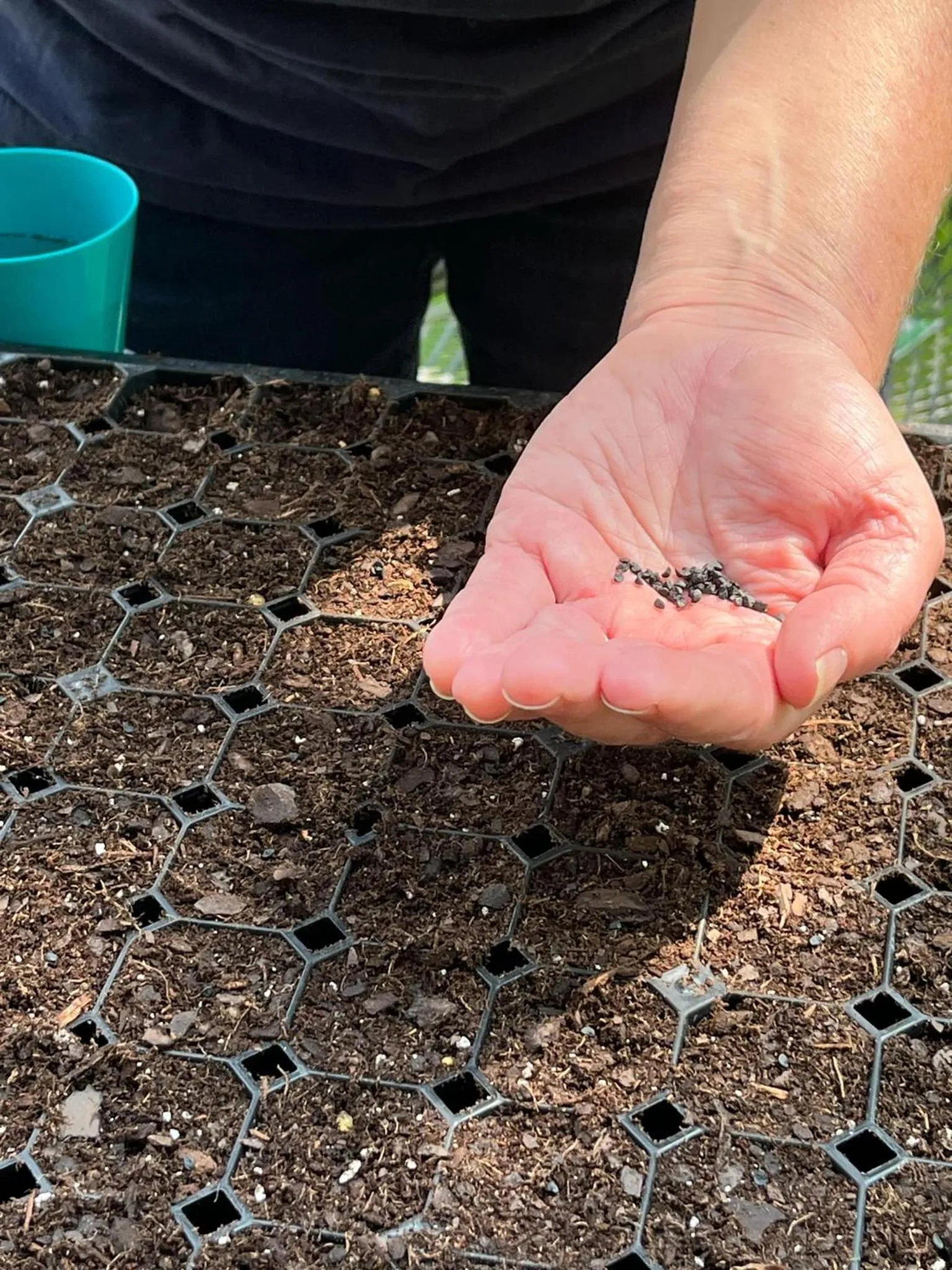 Laurel River Club Bed & Breakfast or LRCBNB