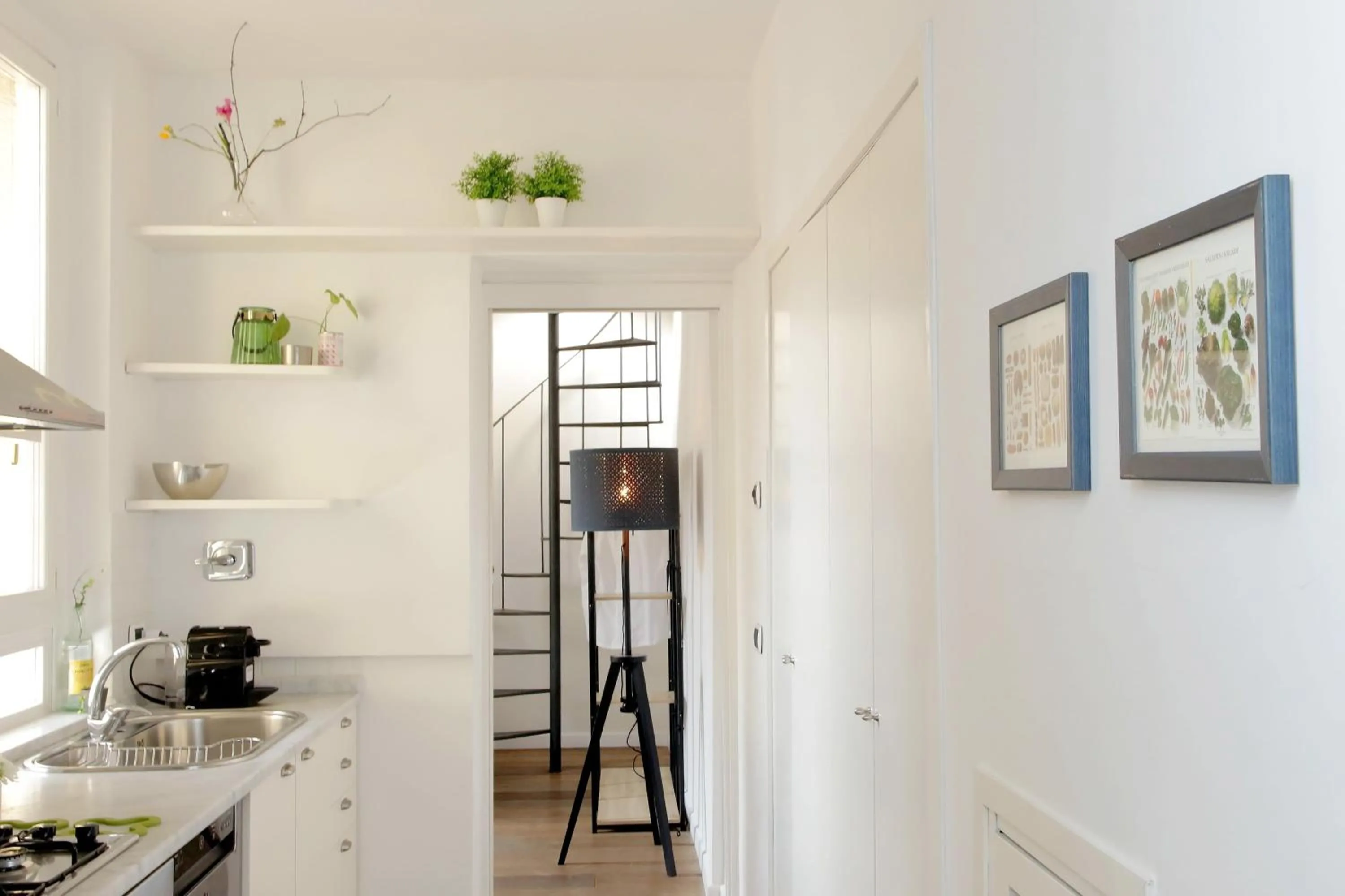 Kitchen or kitchenette in Colosseo Terrace Apartment
