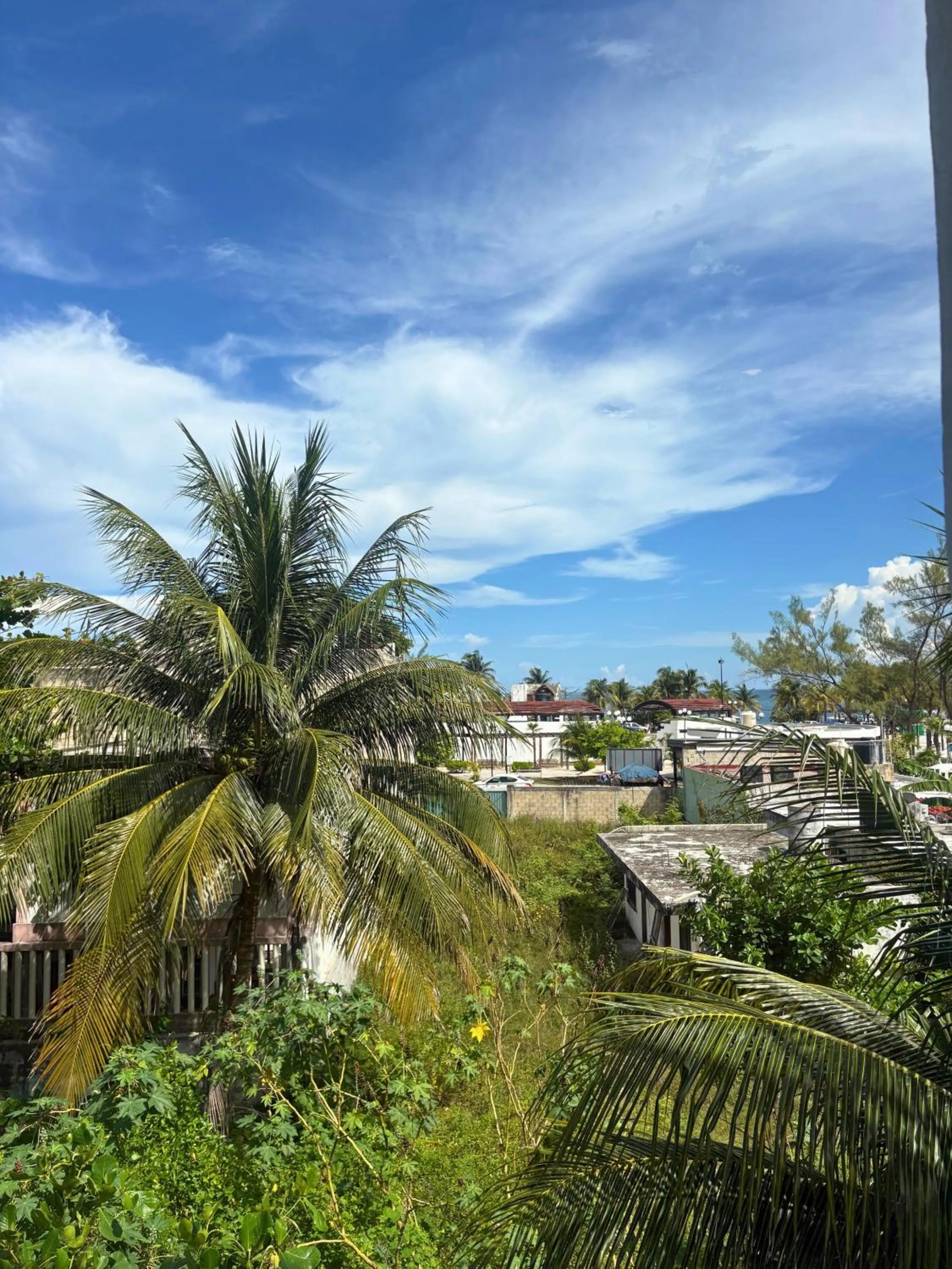 Day in Hostal Cuca Macuca