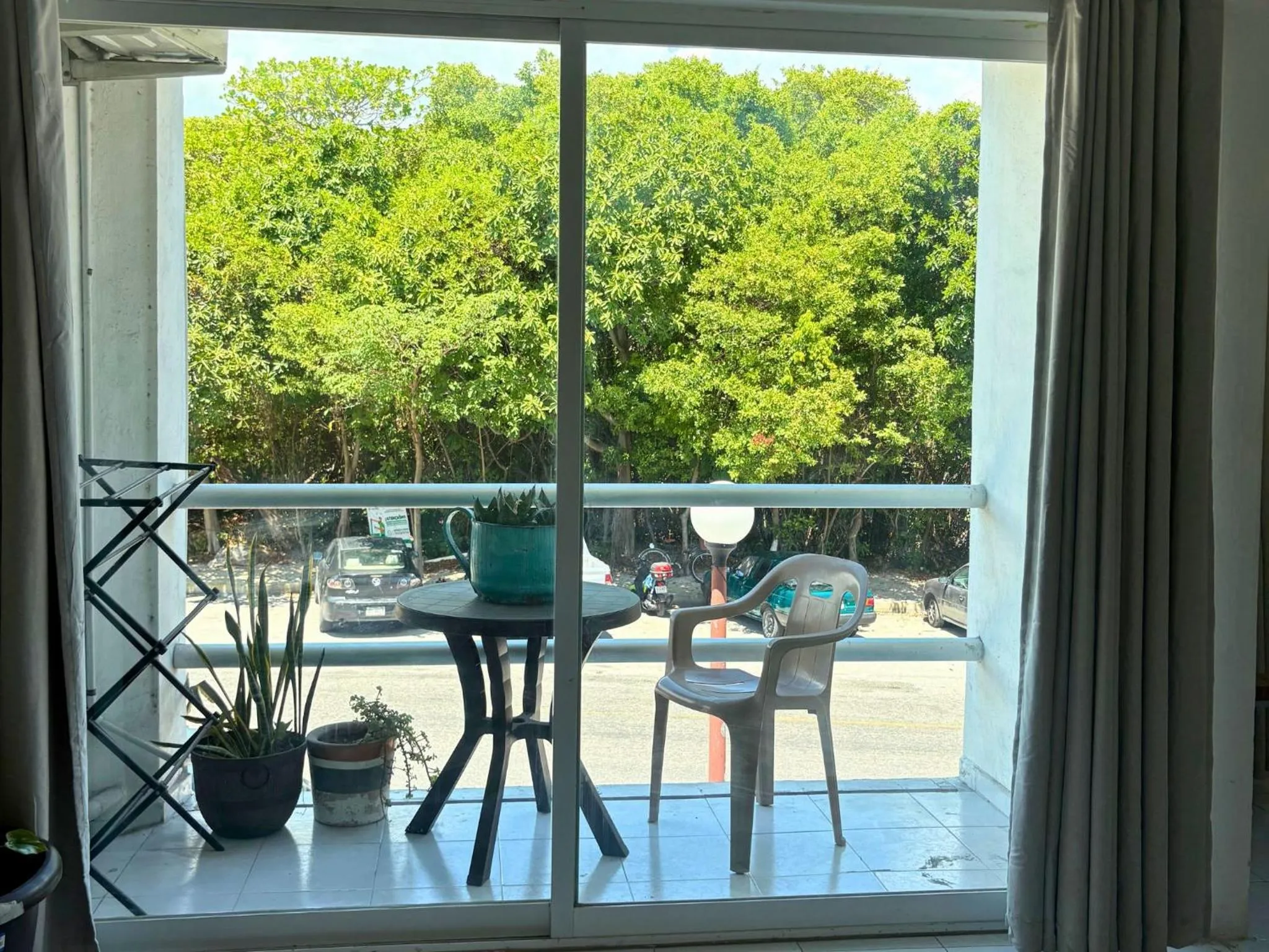 Garden view in Hostal Cuca Macuca