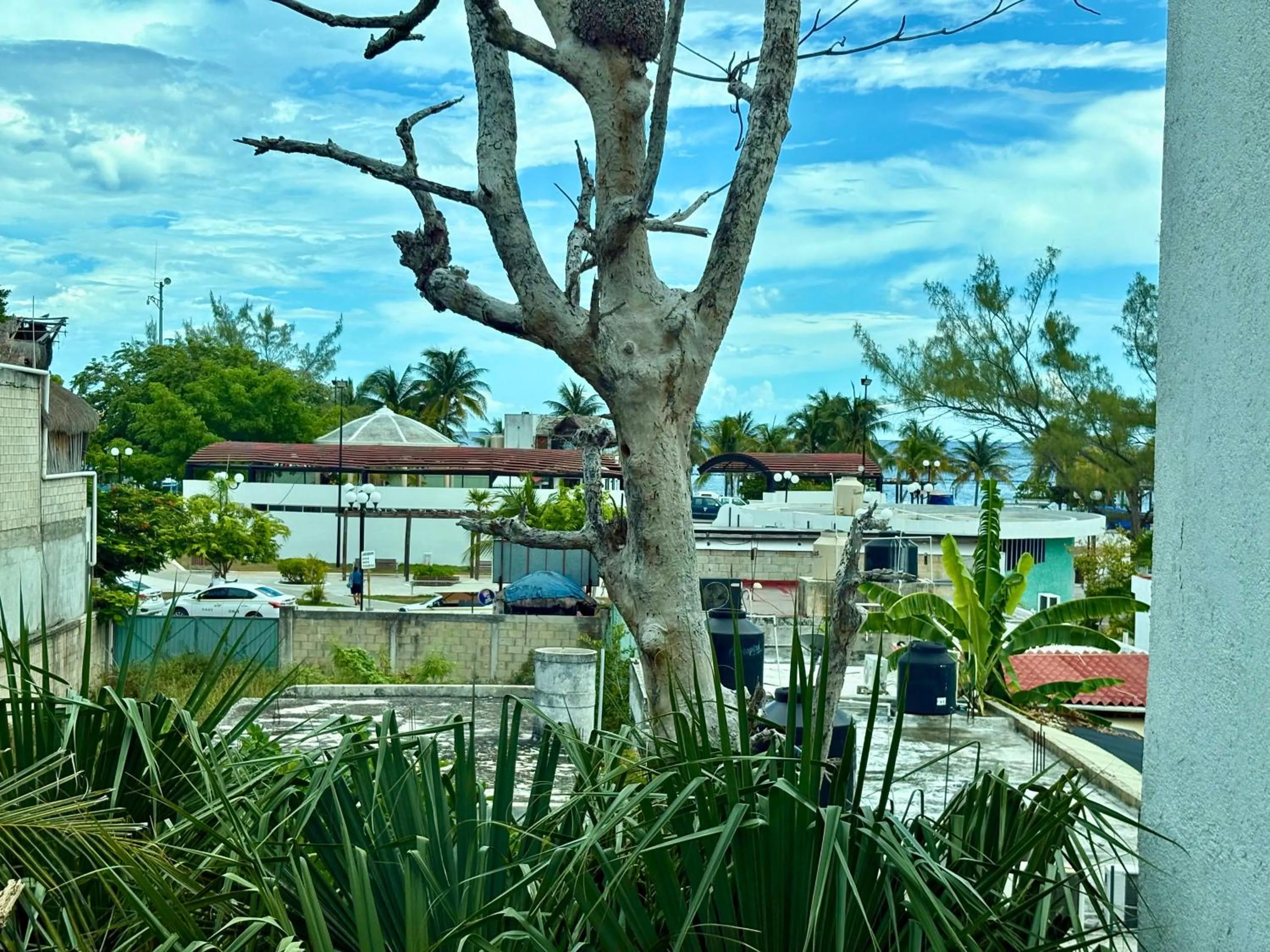 Garden view in Hostal Cuca Macuca