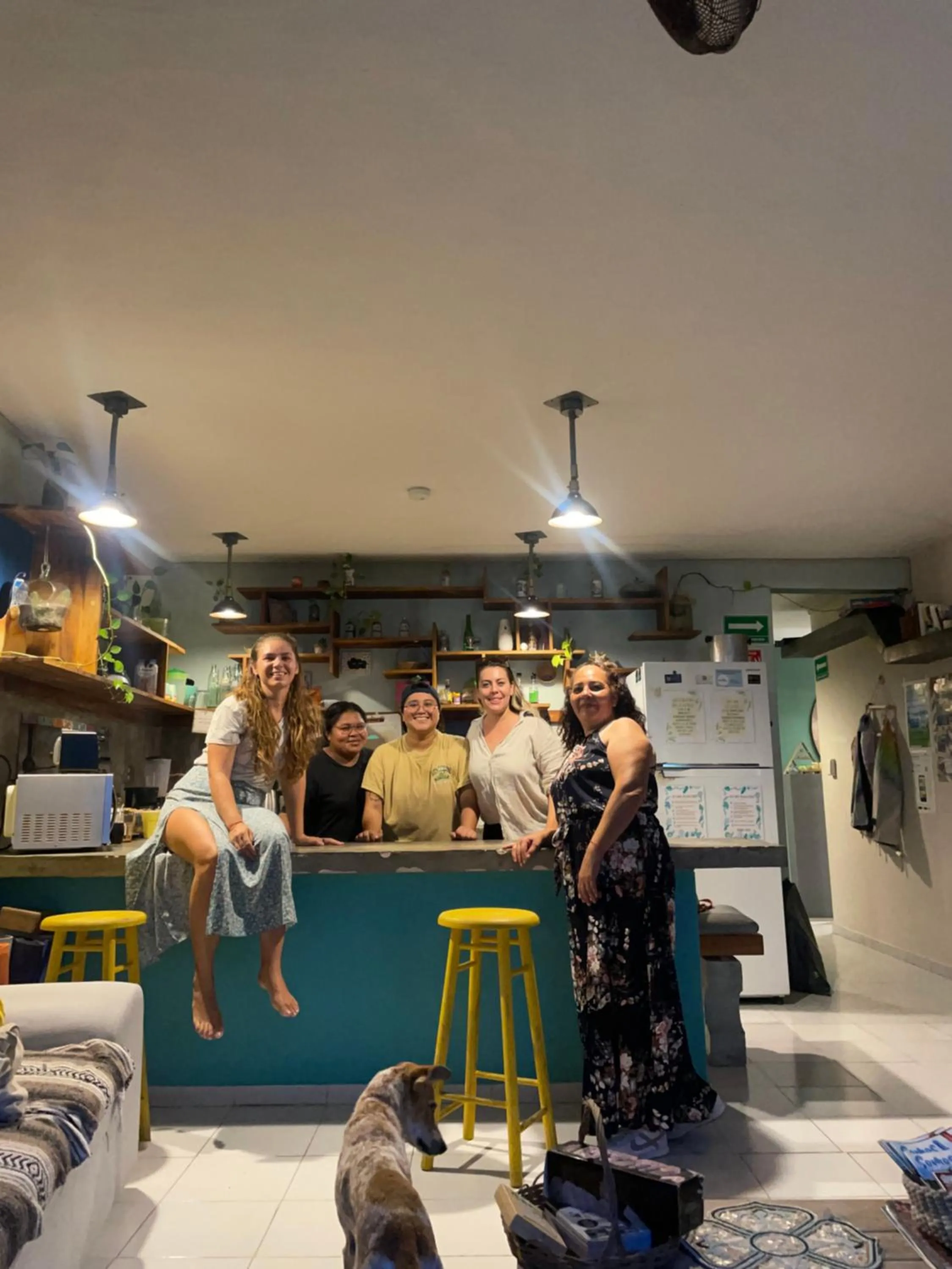 Kitchen or kitchenette in Hostal Cuca Macuca