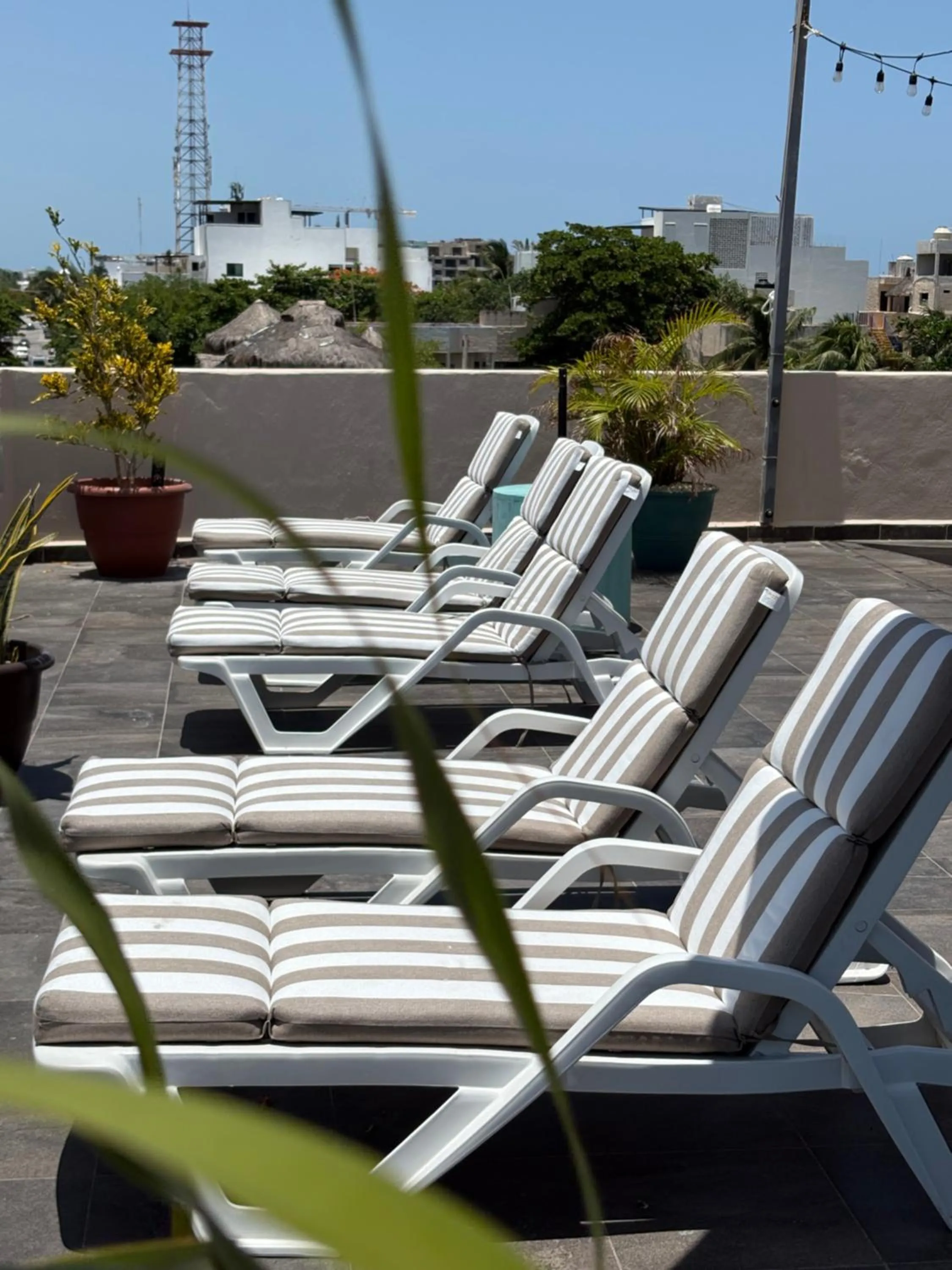 sunbed in Hostal Cuca Macuca