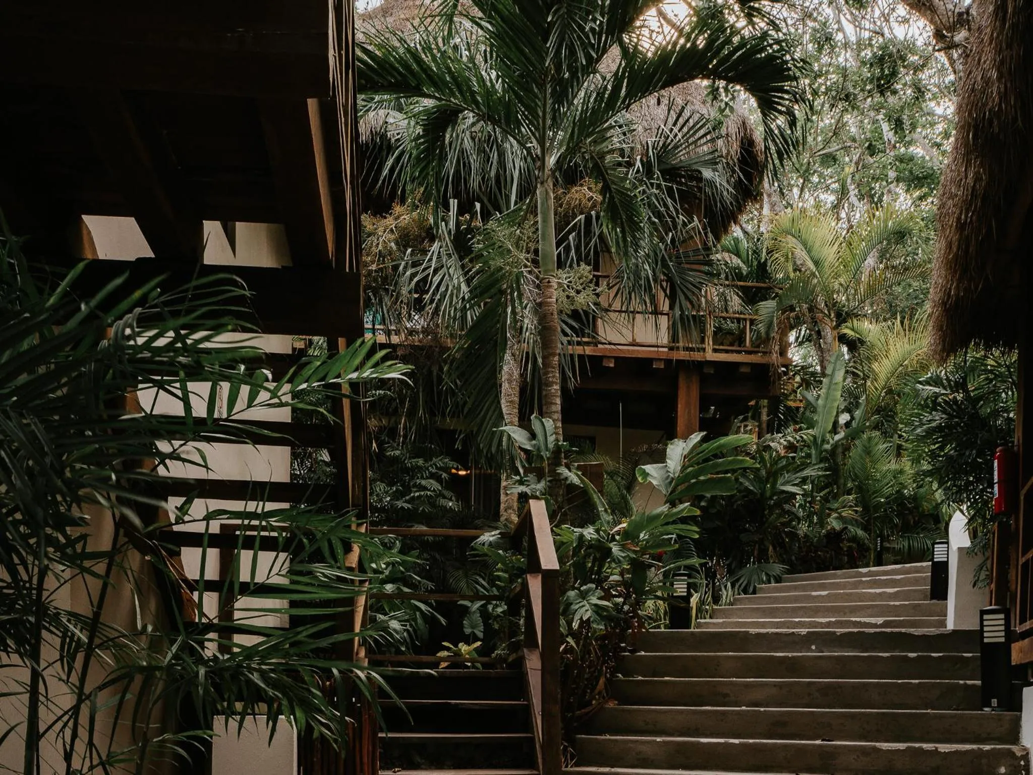 Garden in Khaban Bacalar Hotel Boutique