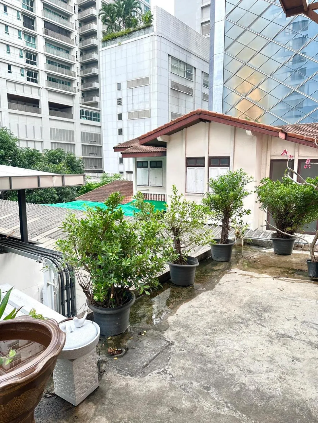 Garden in Studio F Sukhumvit