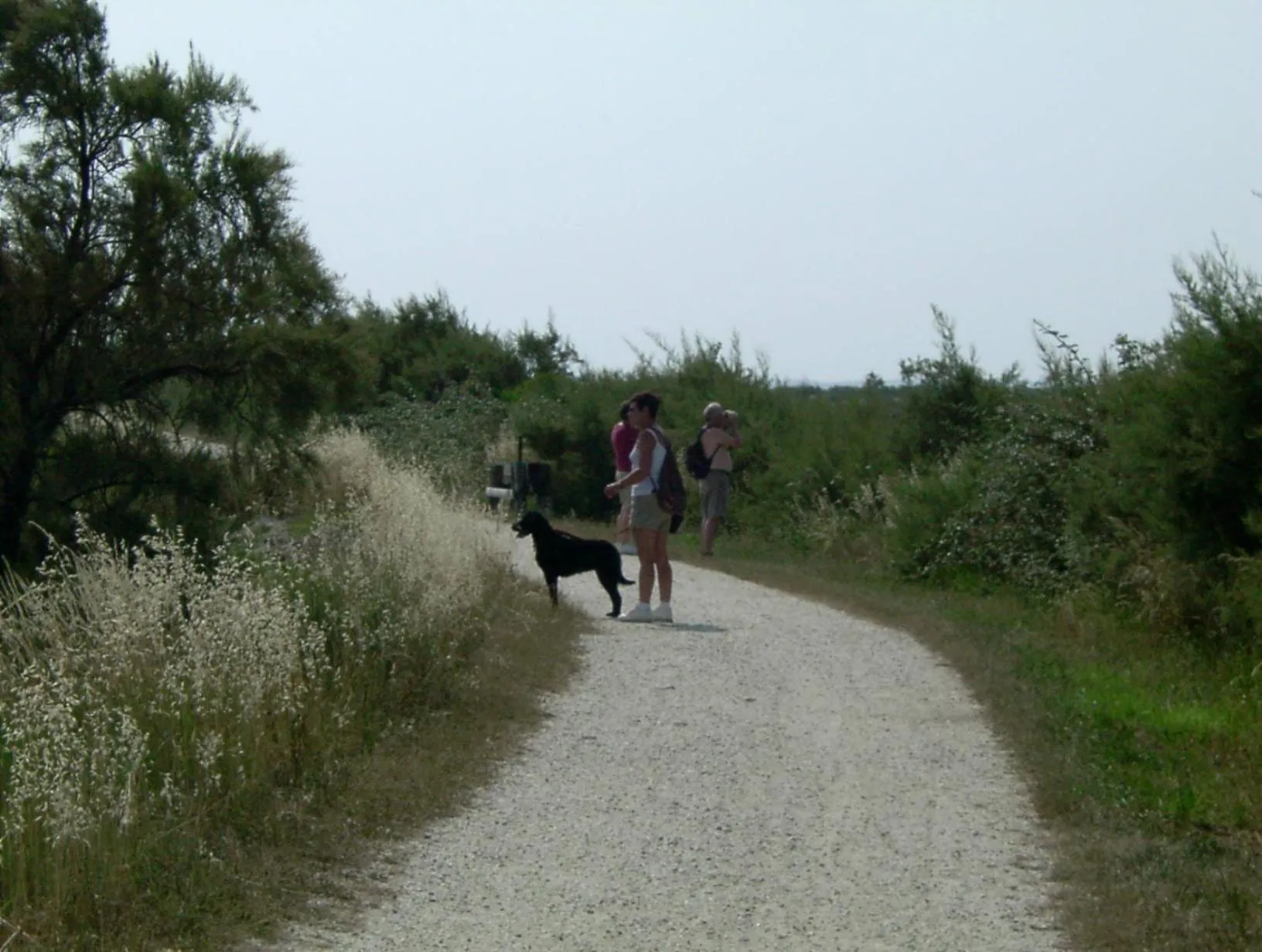 Activities in Les Calicots Sanguinet