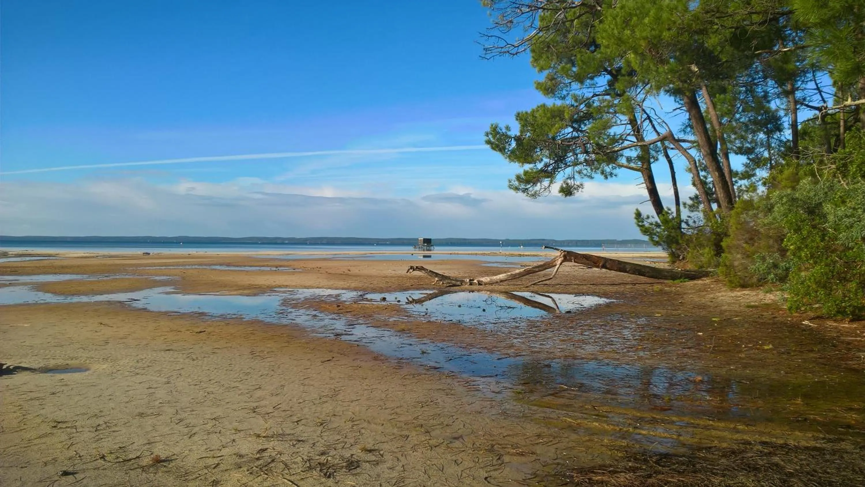 Neighbourhood in Les Calicots Sanguinet