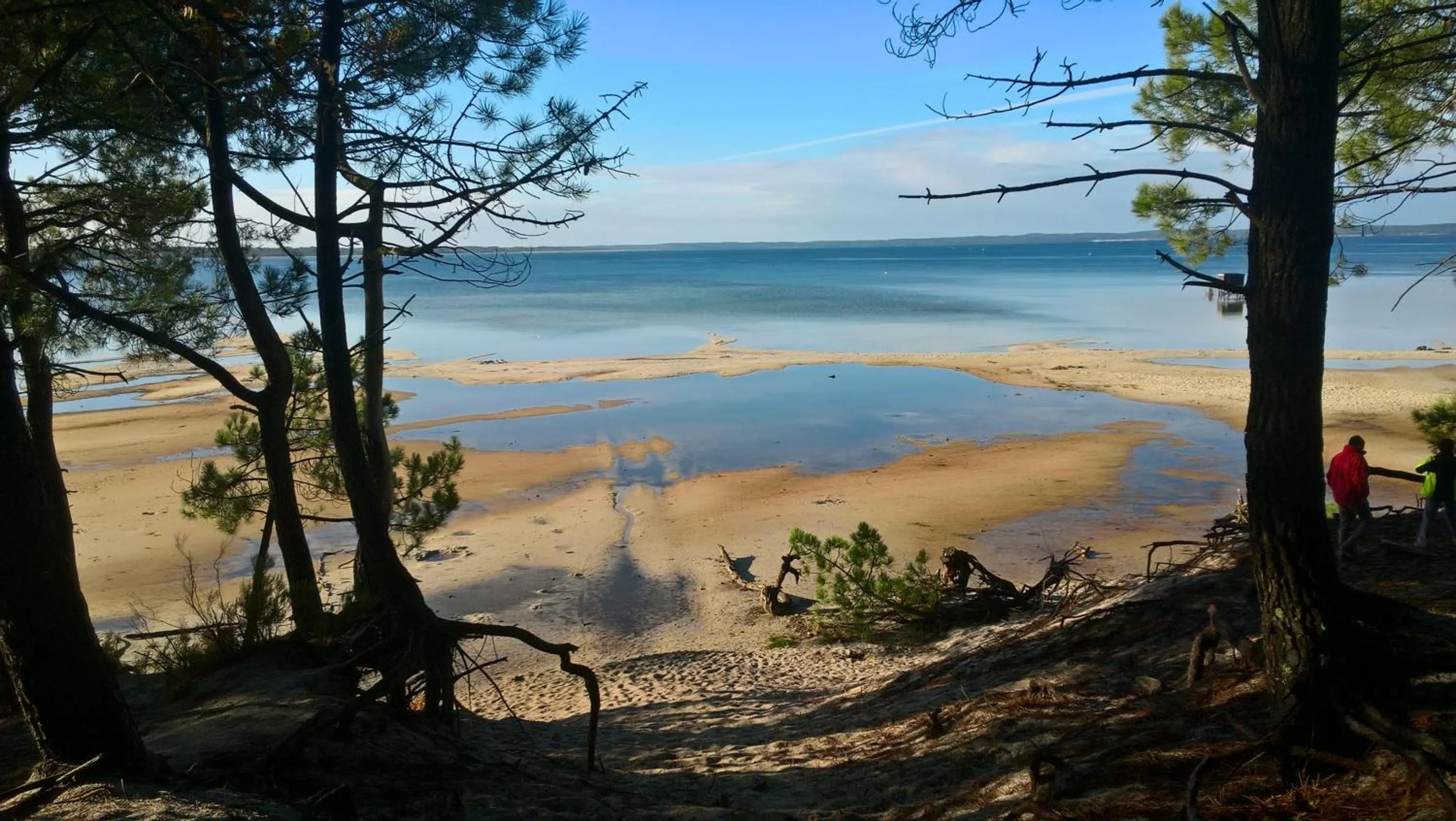 Neighbourhood in Les Calicots Sanguinet