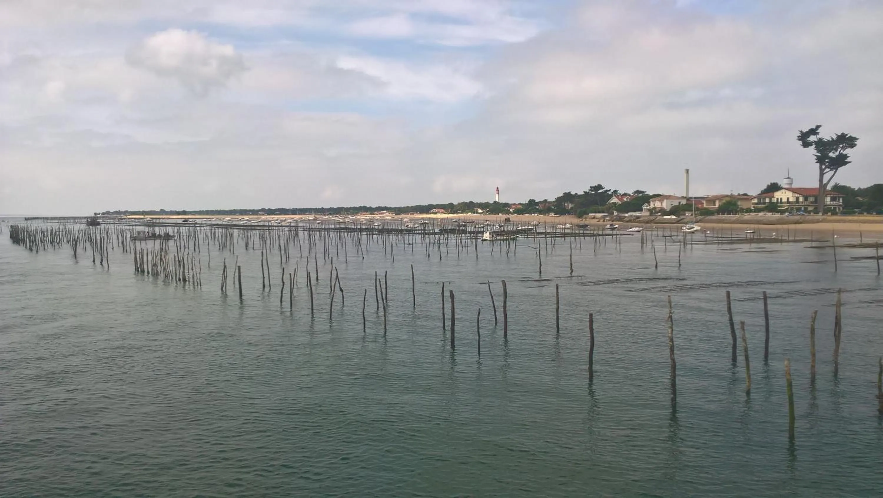 Activities in Les Calicots Sanguinet