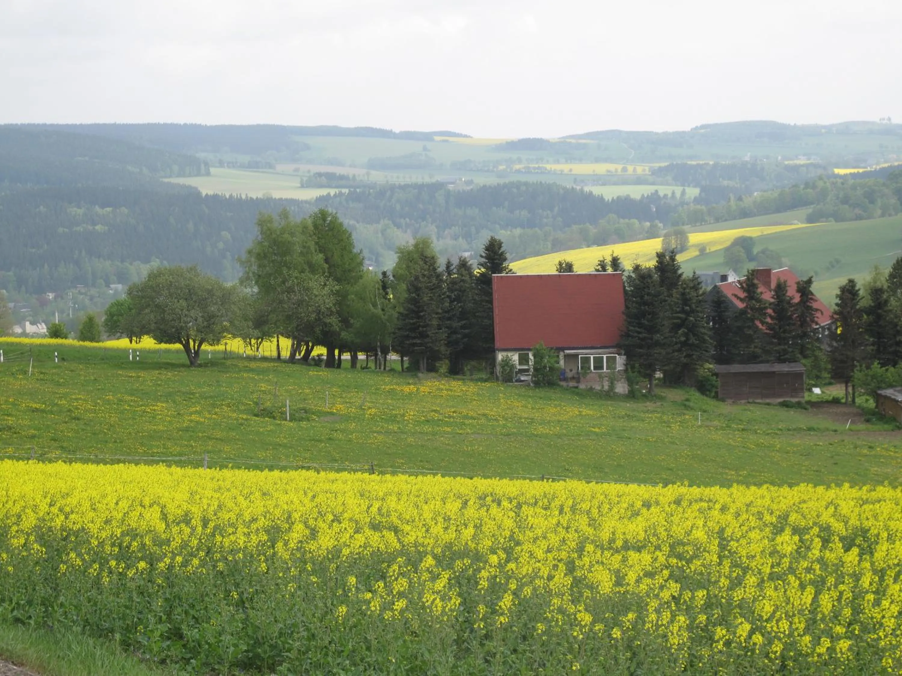 Other in Hotel Sonne