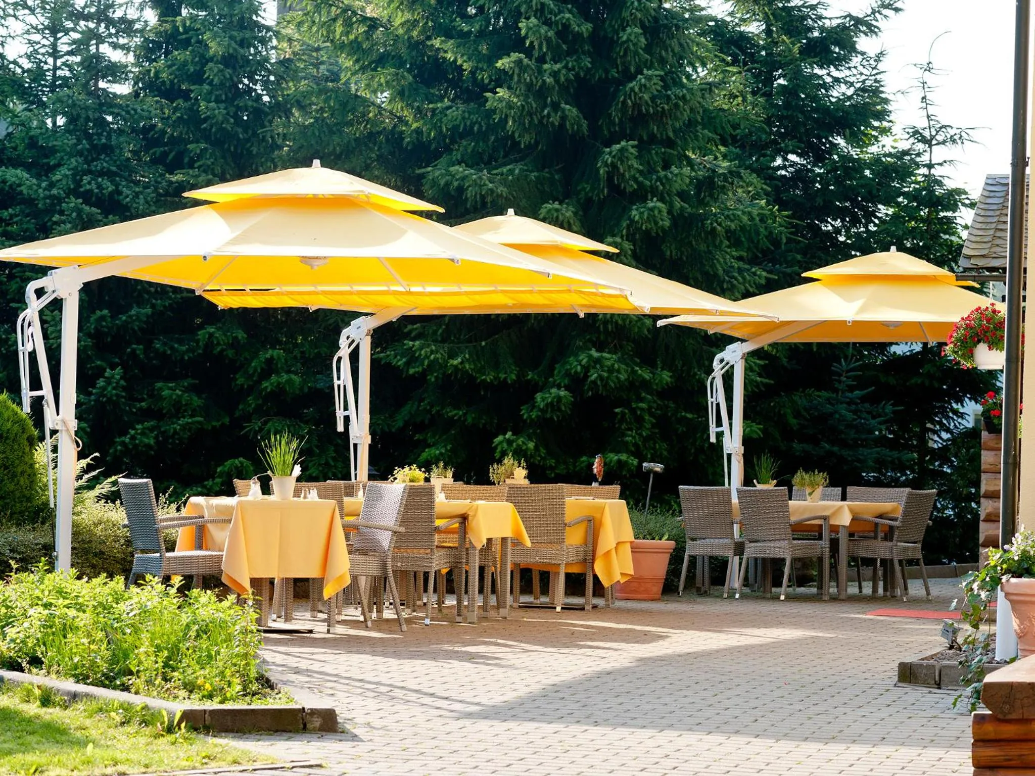 Balcony/Terrace in Hotel Sonne