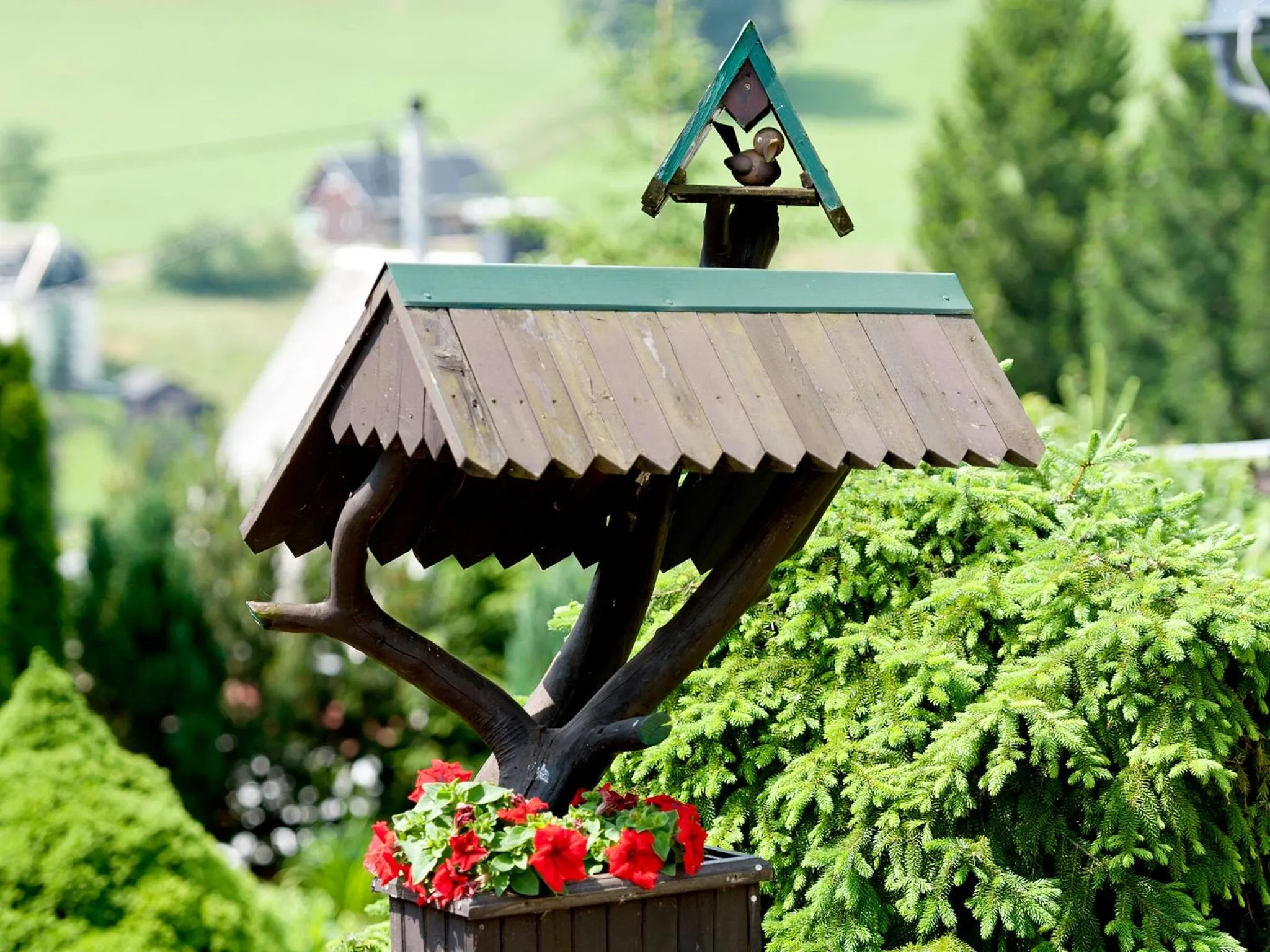 Area and facilities in Hotel Sonne