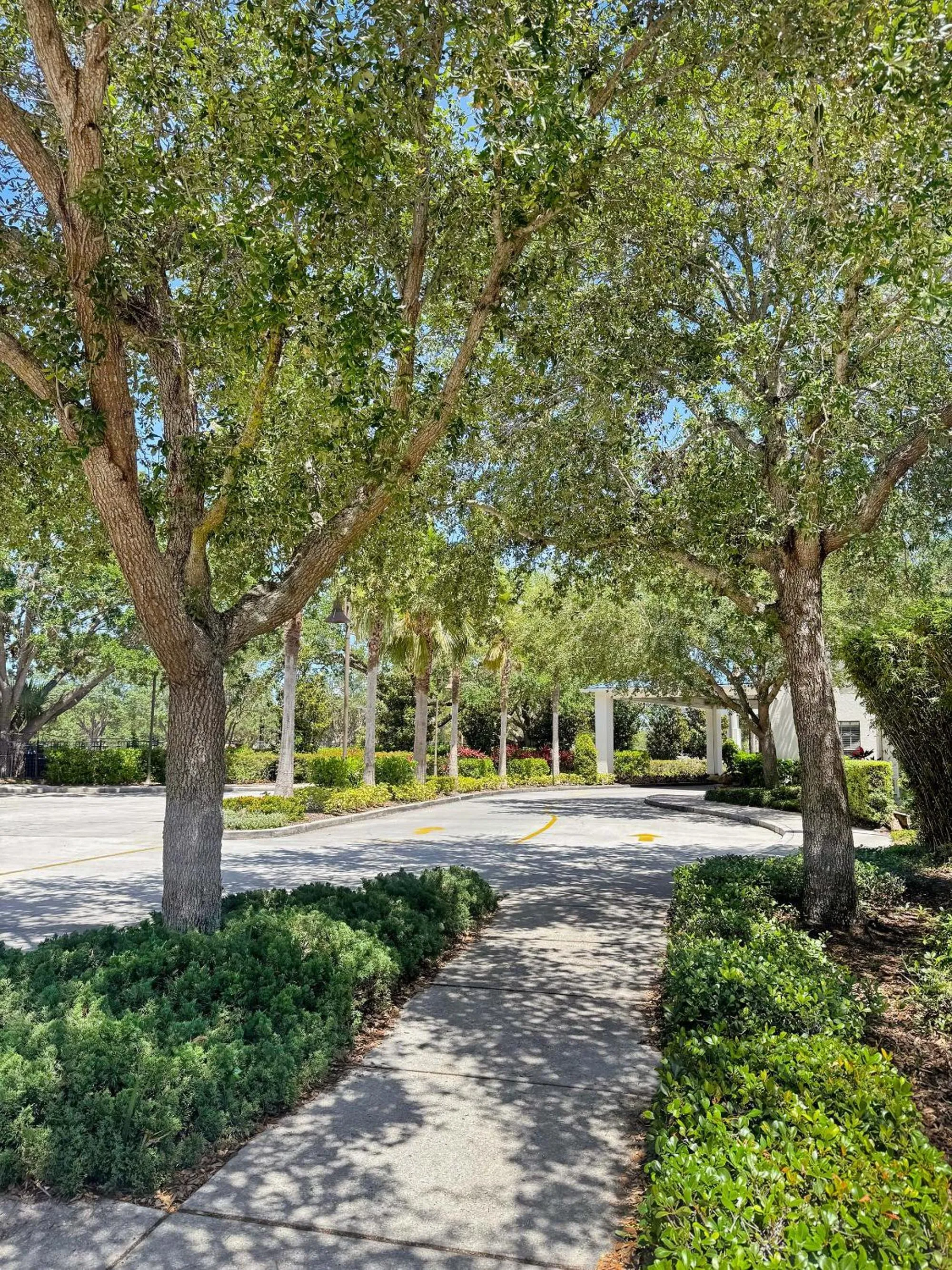 Garden in Avanti International Resort
