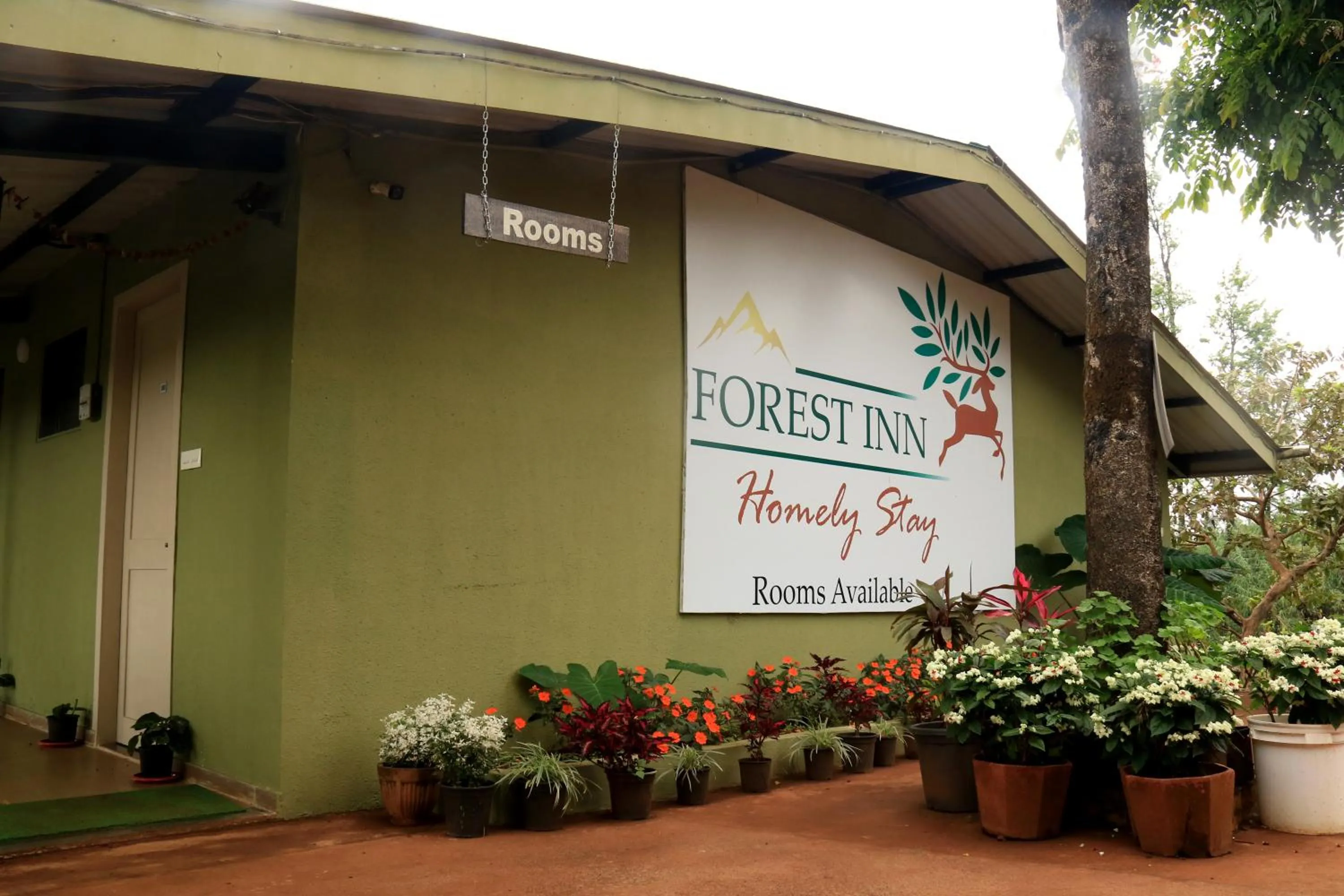 Facade/entrance in Forest Inn