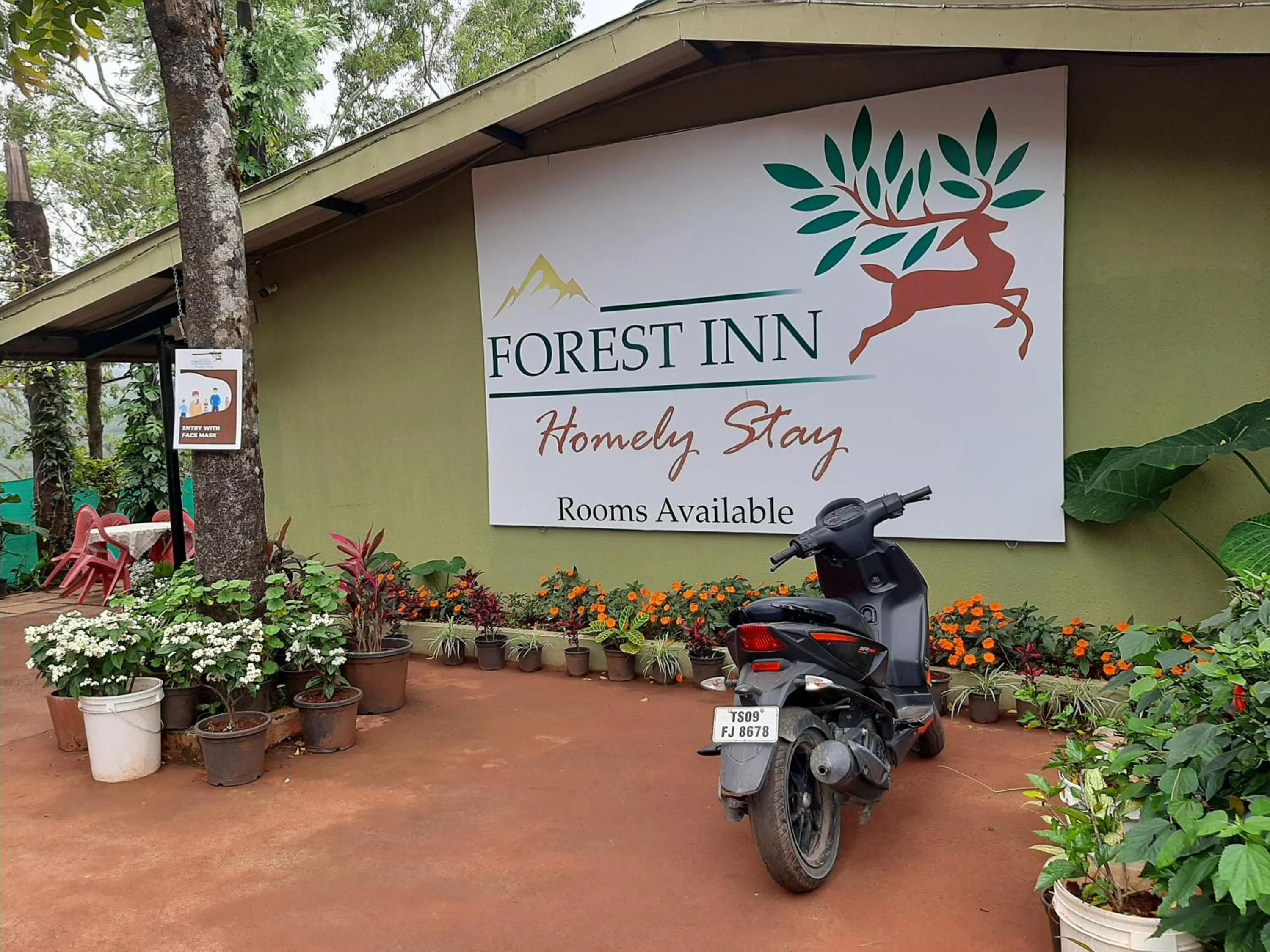 Property building in Forest Inn