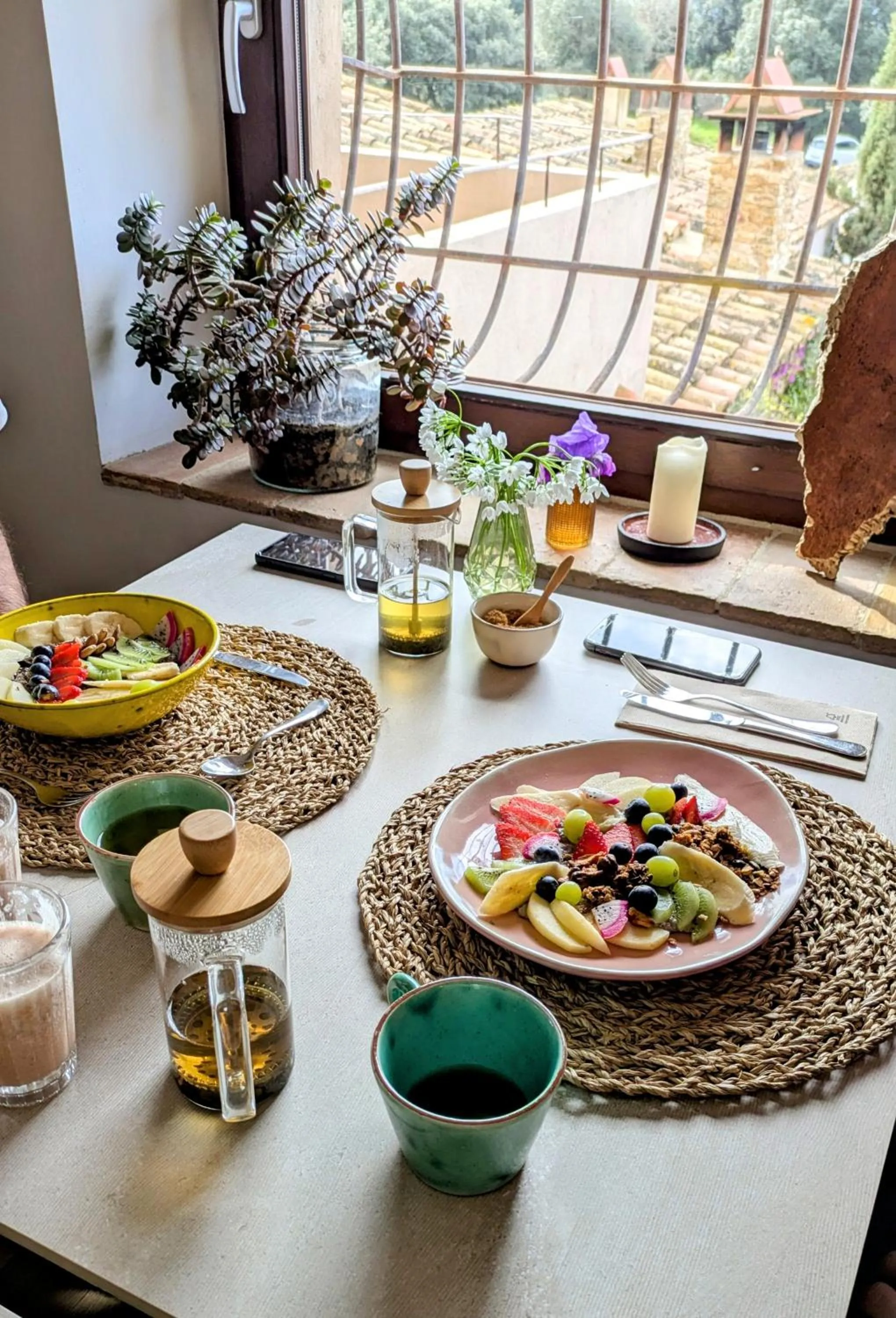 View (from property/room) in Mas Oms