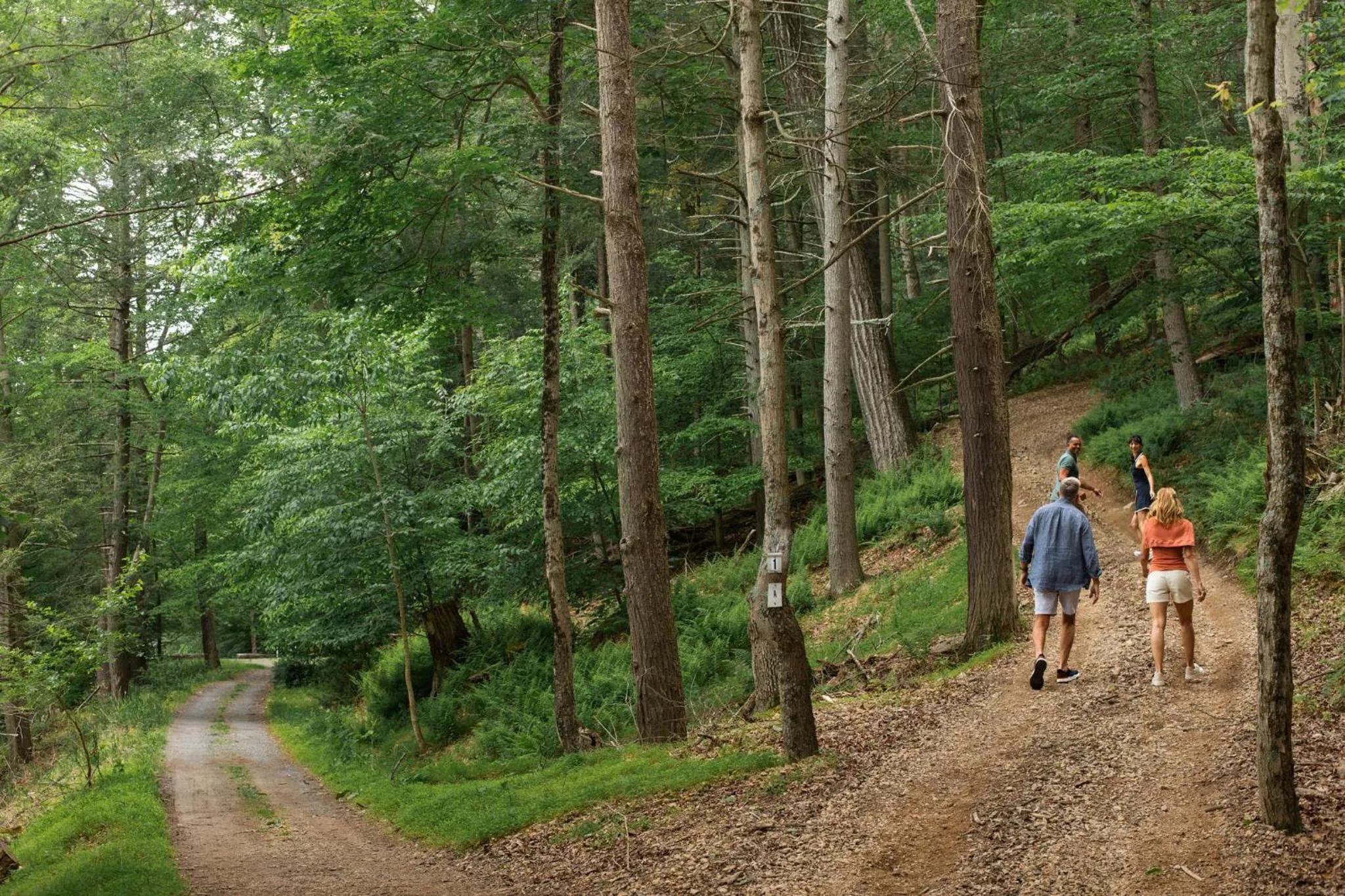 Hiking in Omni Bedford Springs Resort & Spa