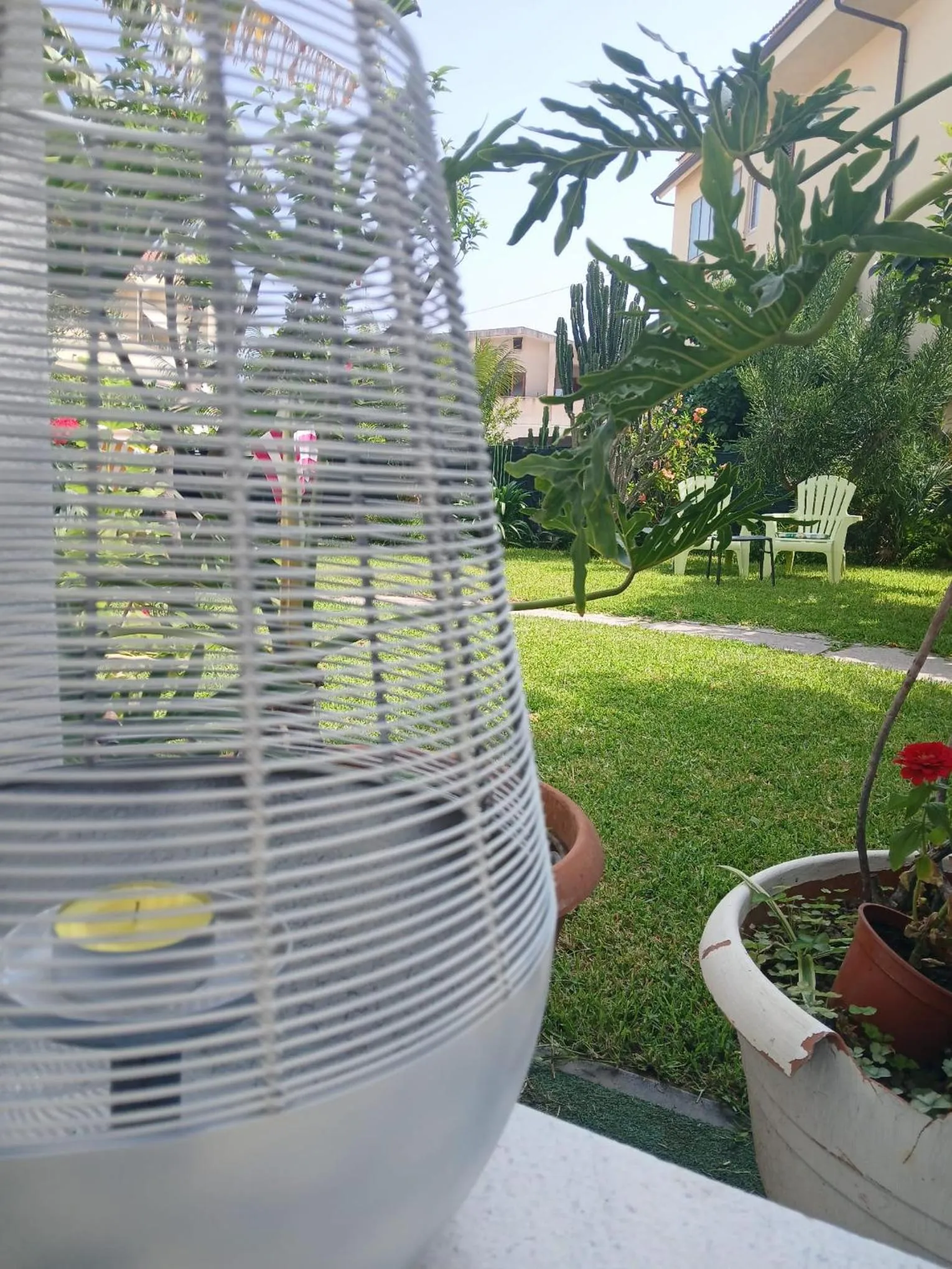 Garden view in B&B Kamalei Tropea