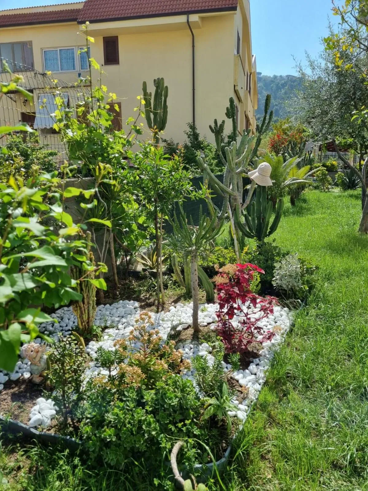 Garden in B&B Kamalei Tropea